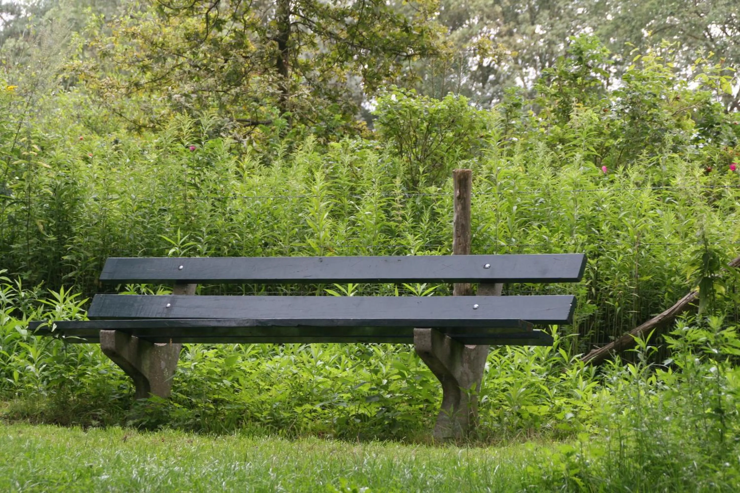 Off site in Gastenverblijf Eenink