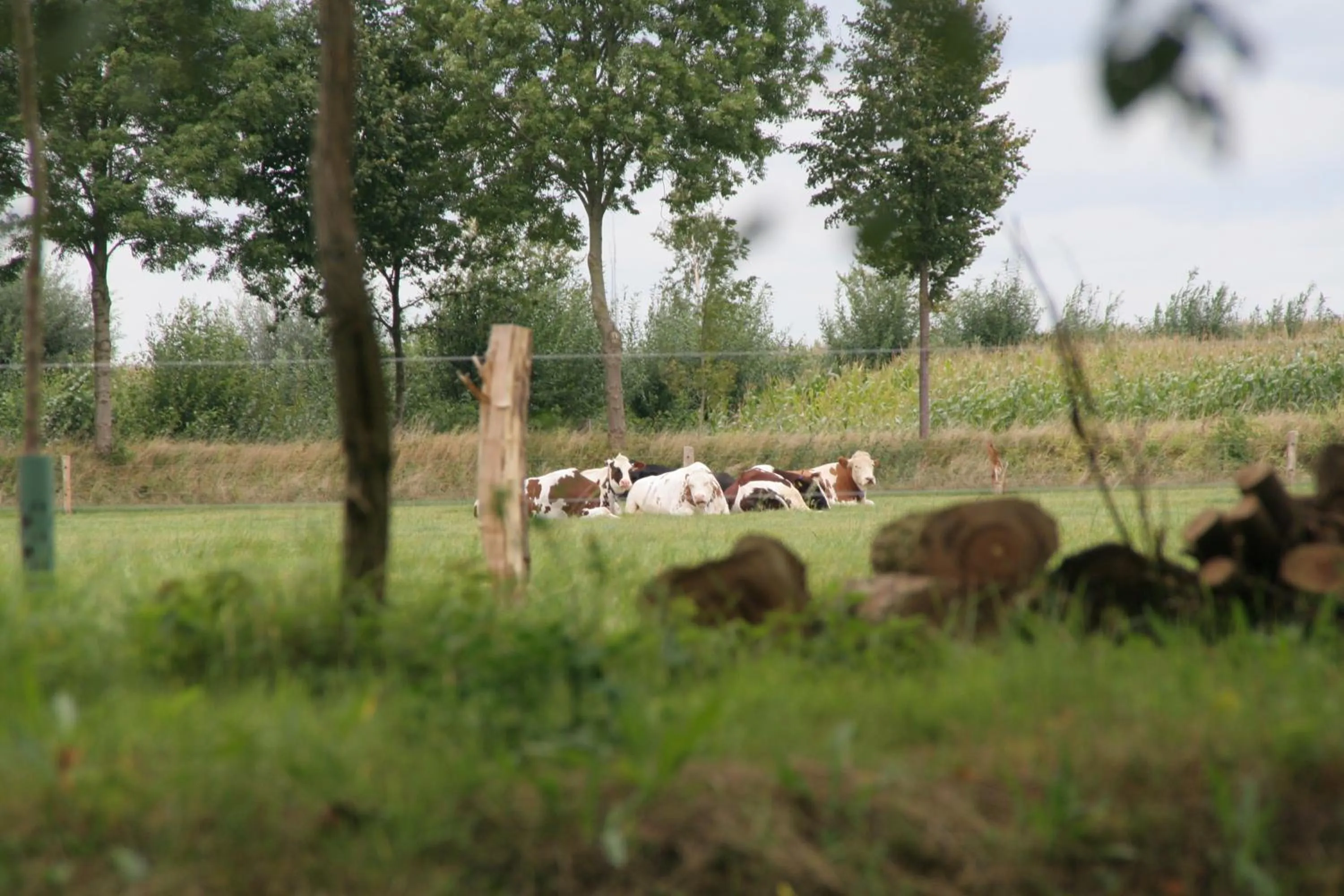 Day in Gastenverblijf Eenink