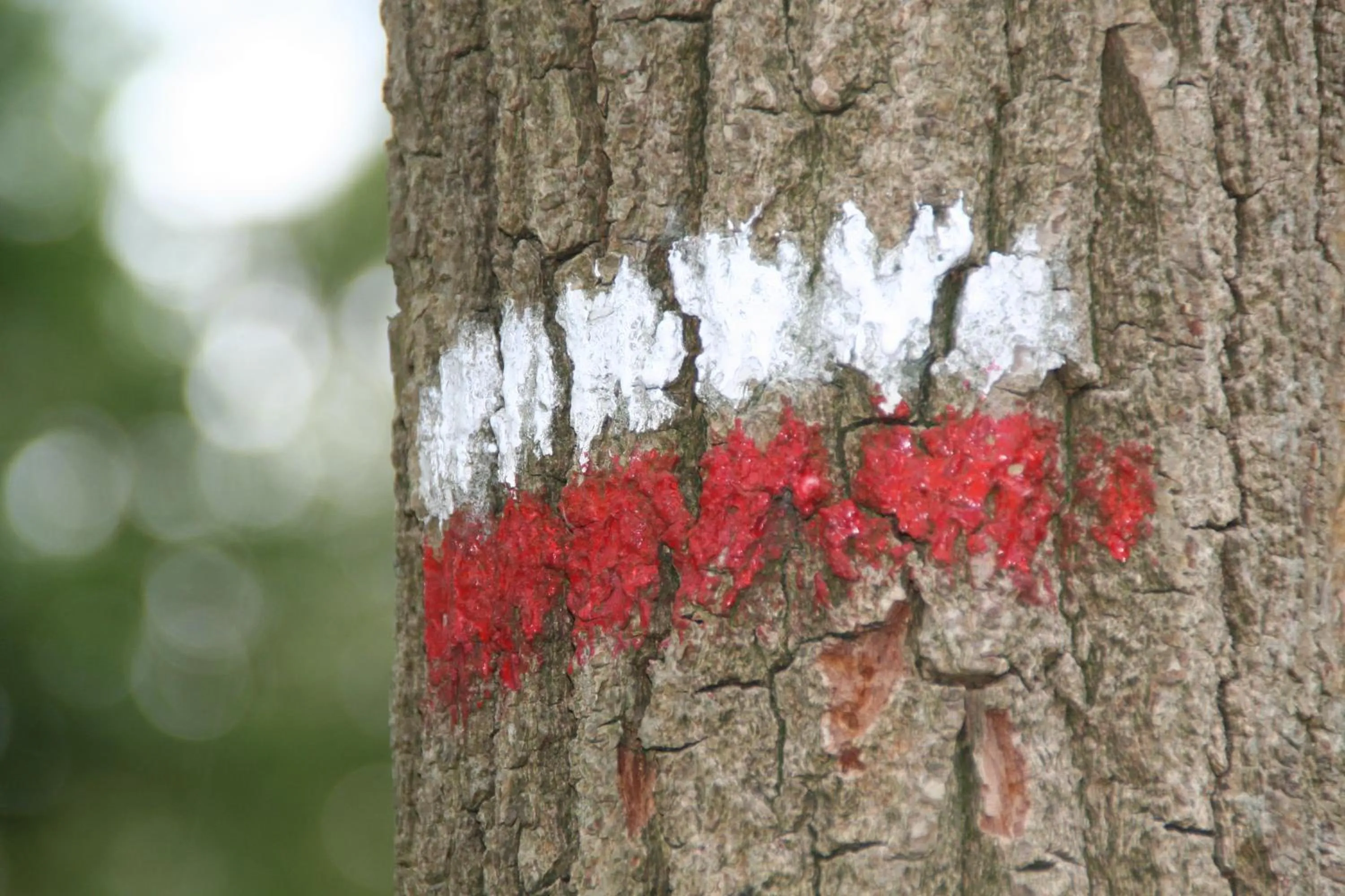 Hiking in Gastenverblijf Eenink
