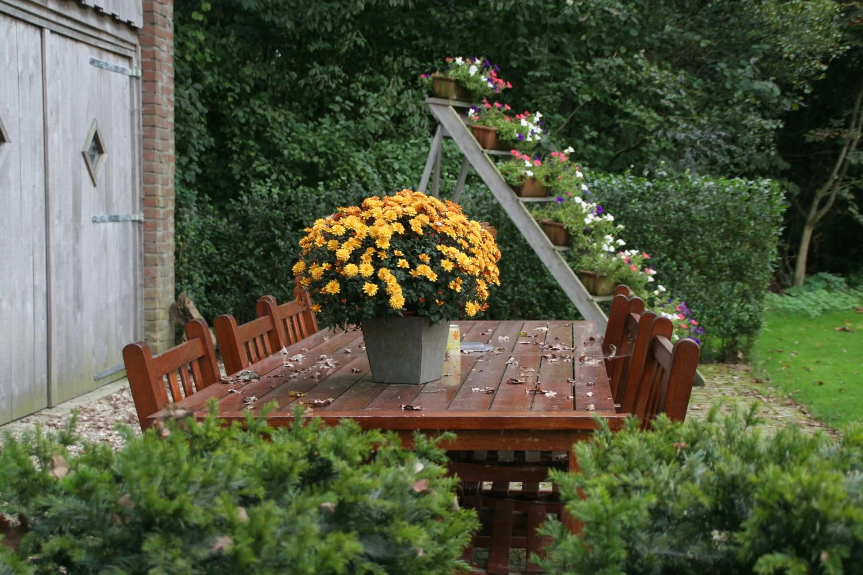 Day in Gastenverblijf Eenink