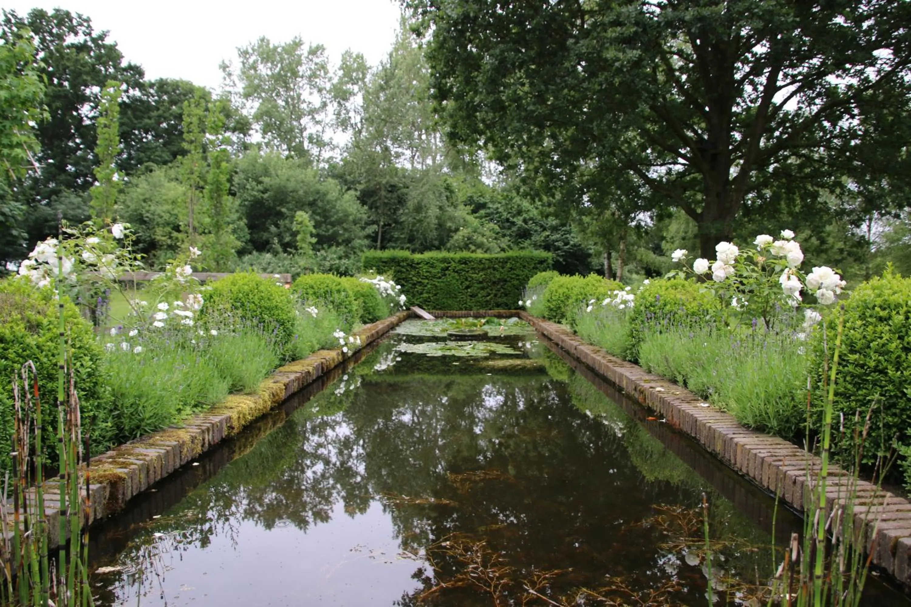 Natural landscape in Gastenverblijf Eenink