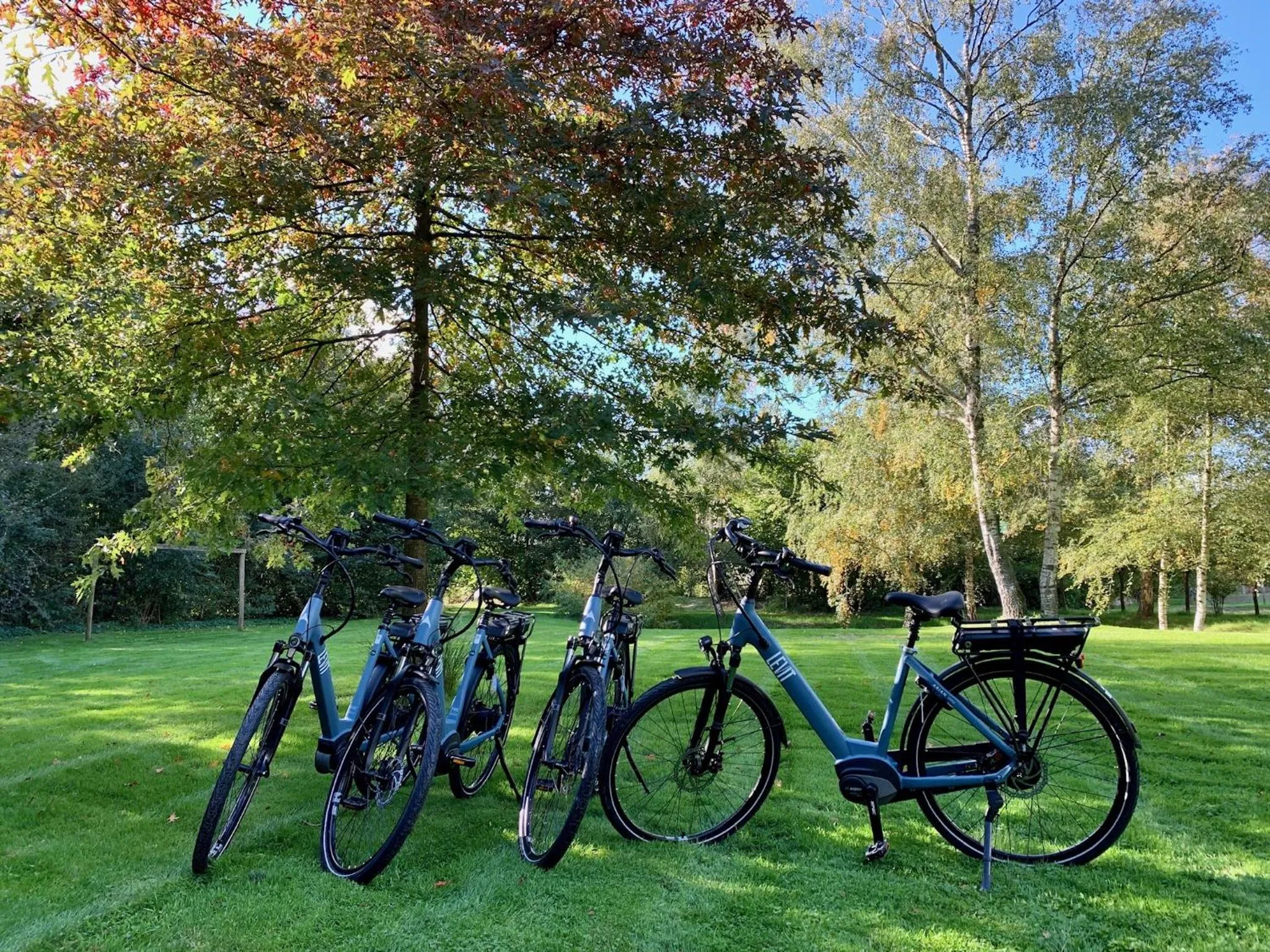 Cycling in Gastenverblijf Eenink