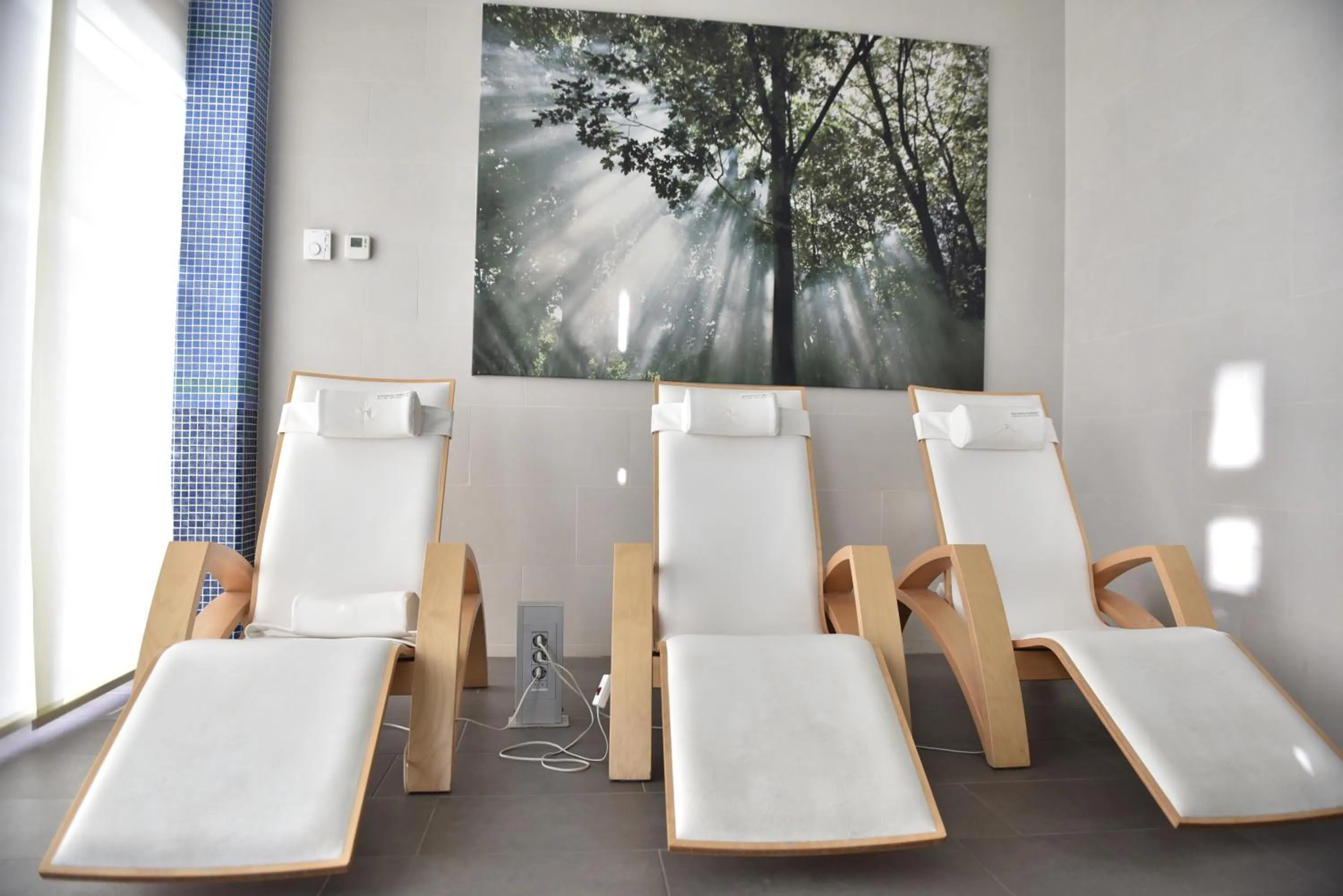 Seating area in Hotel Premier Aqua Adults Only - Fruške Terme