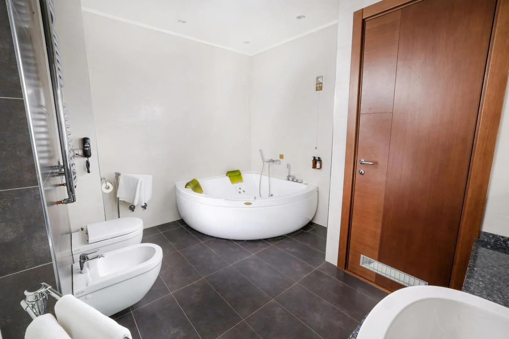 Toilet in Hotel Premier Aqua Adults Only - Fruške Terme