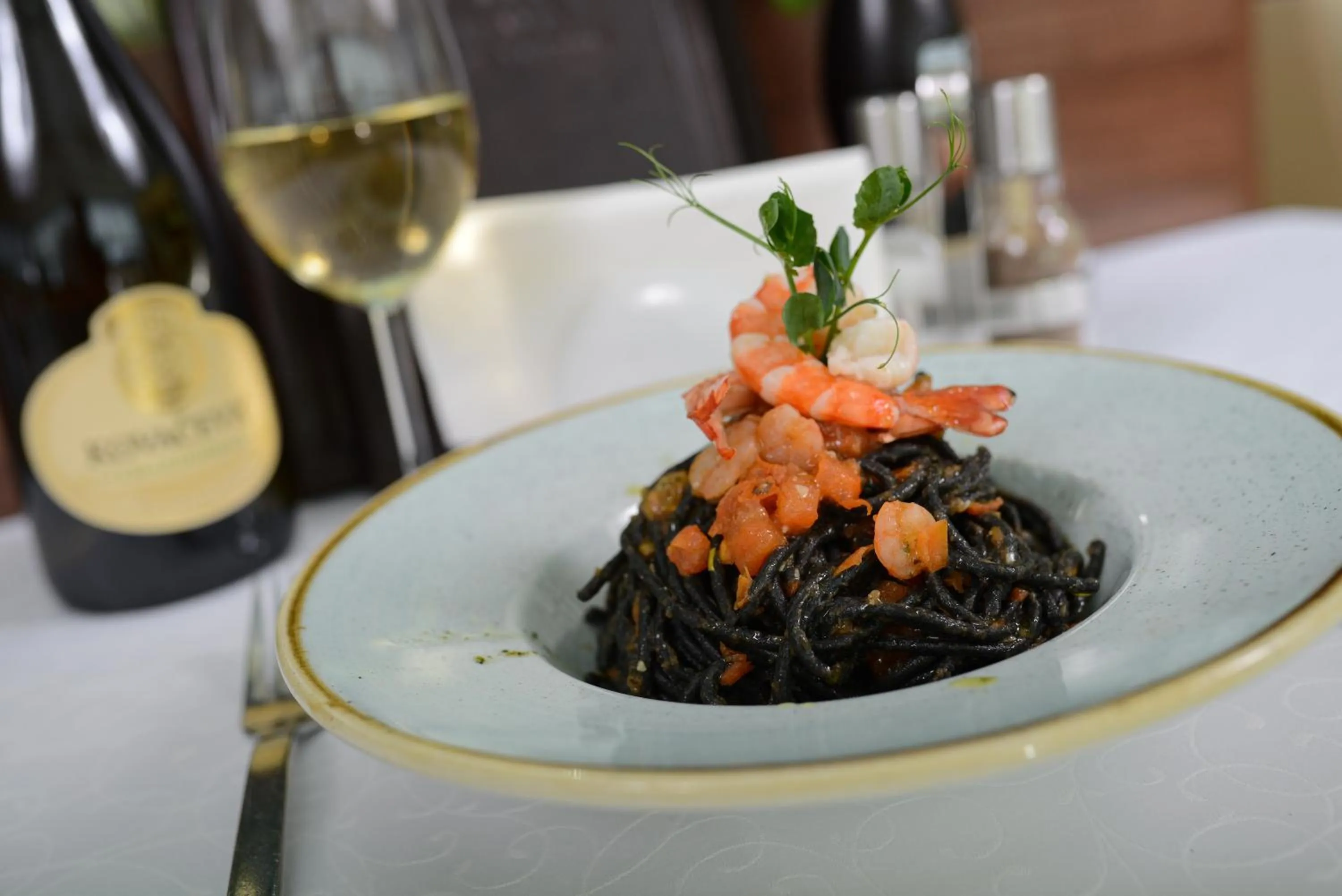 Dinner in Hotel Premier Aqua Adults Only - Fruške Terme