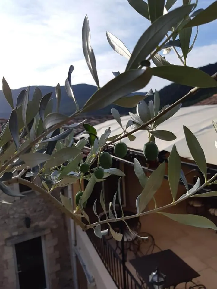 Natural landscape in Hotel L'Oustau de la Font