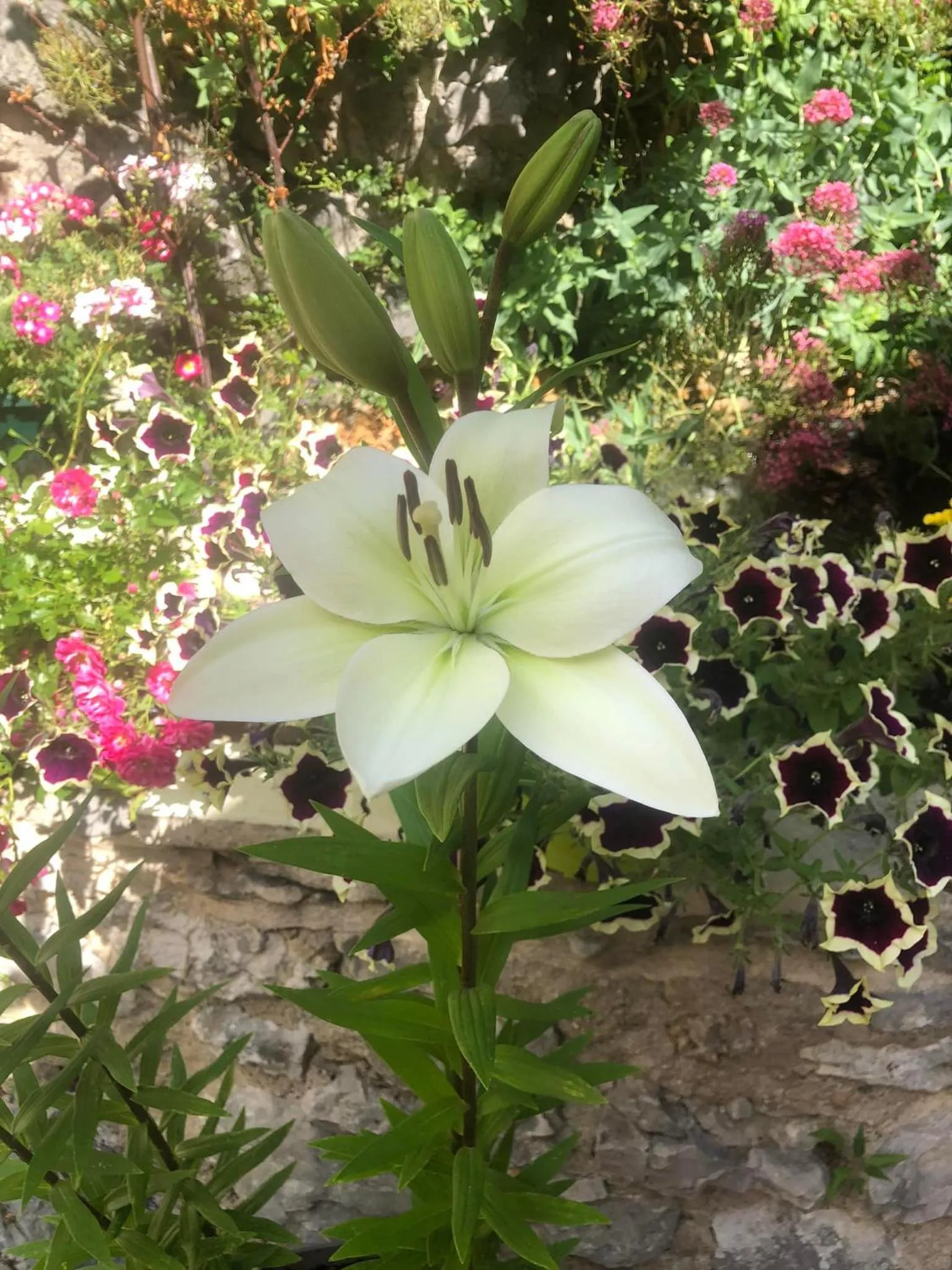 Spring in Hotel L'Oustau de la Font