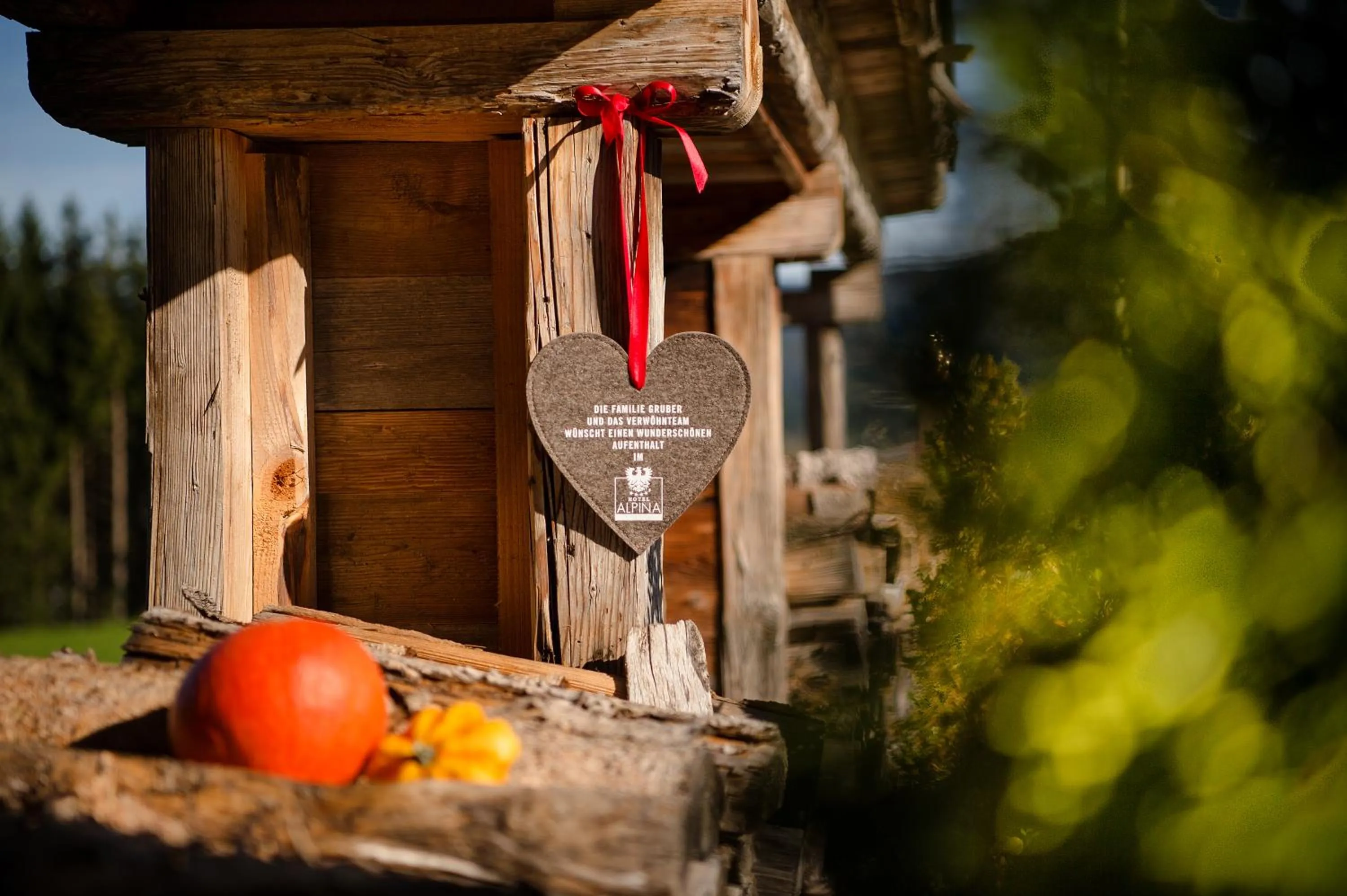 Day in Hotel Alpina Wellness & Spa Resort