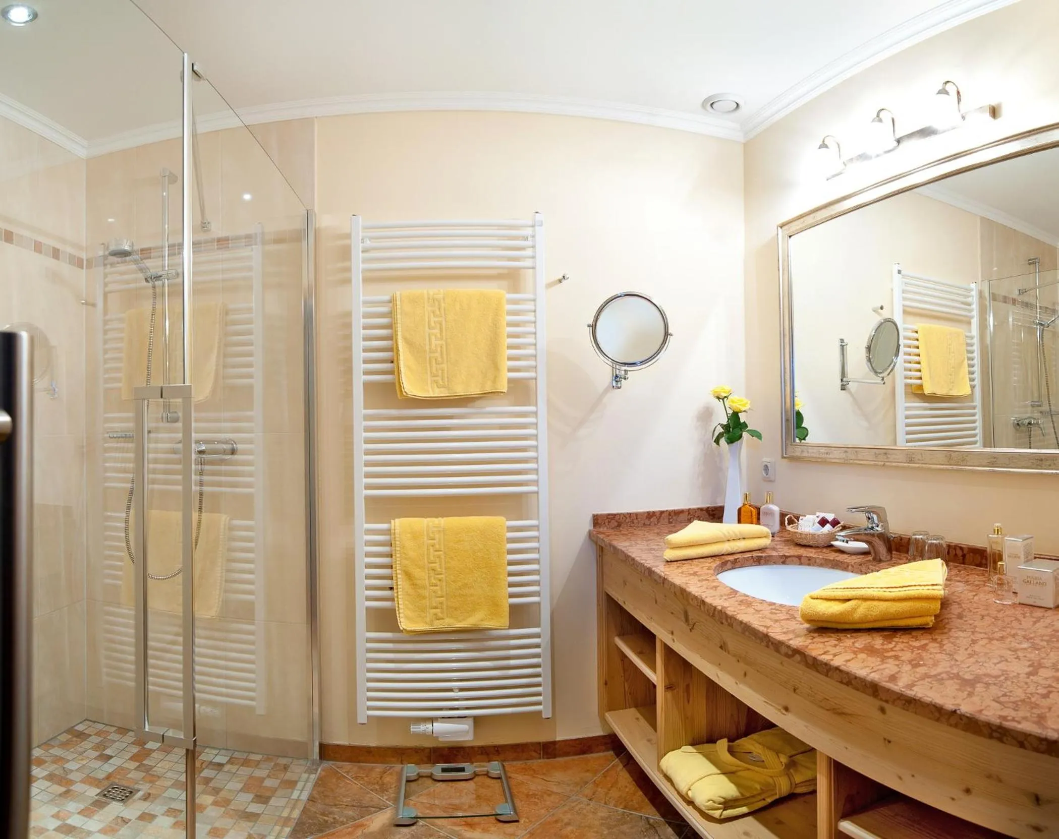 Shower in Hotel Alpina Wellness & Spa Resort
