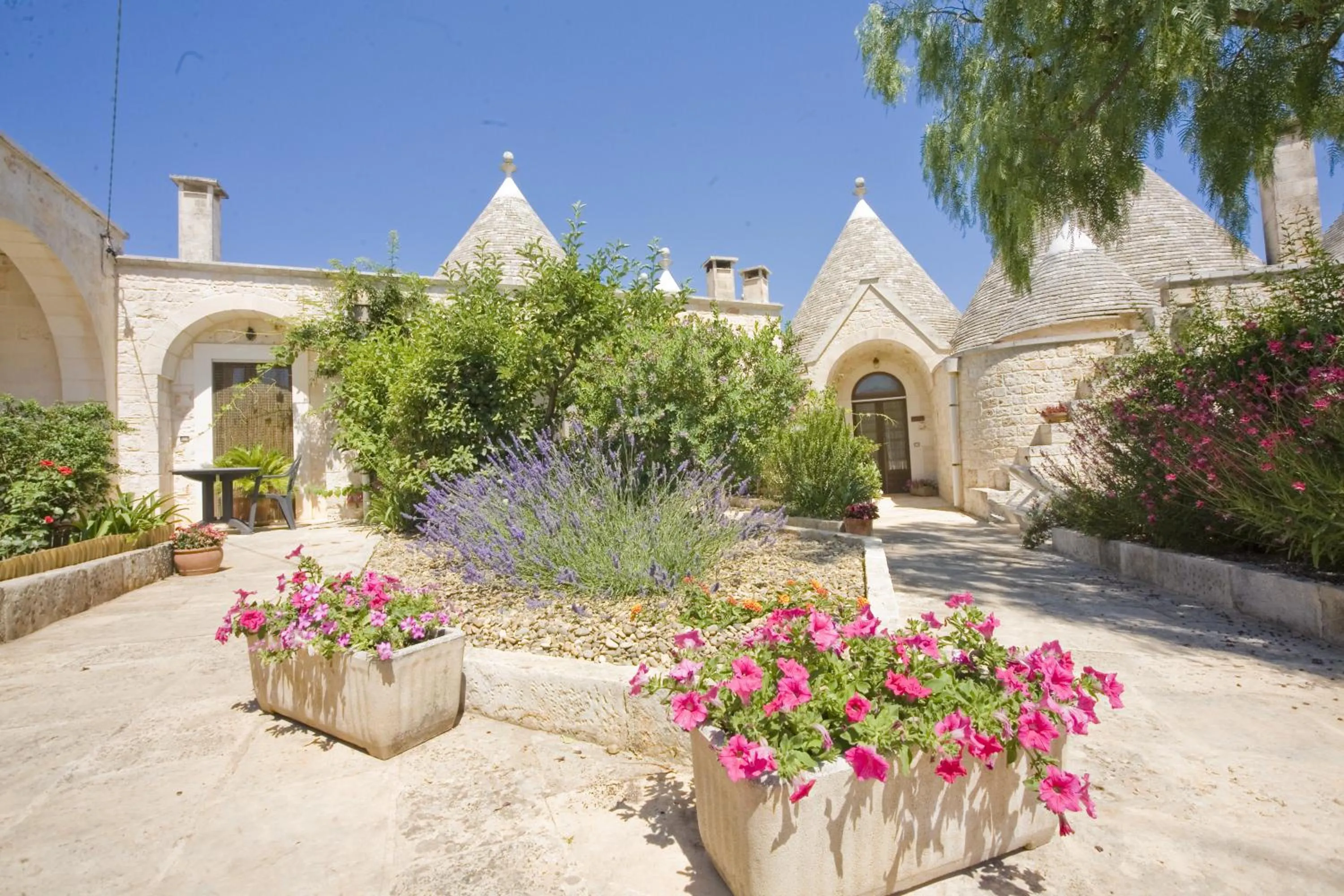 Garden in Truddhi Casa e Cucina di Puglia