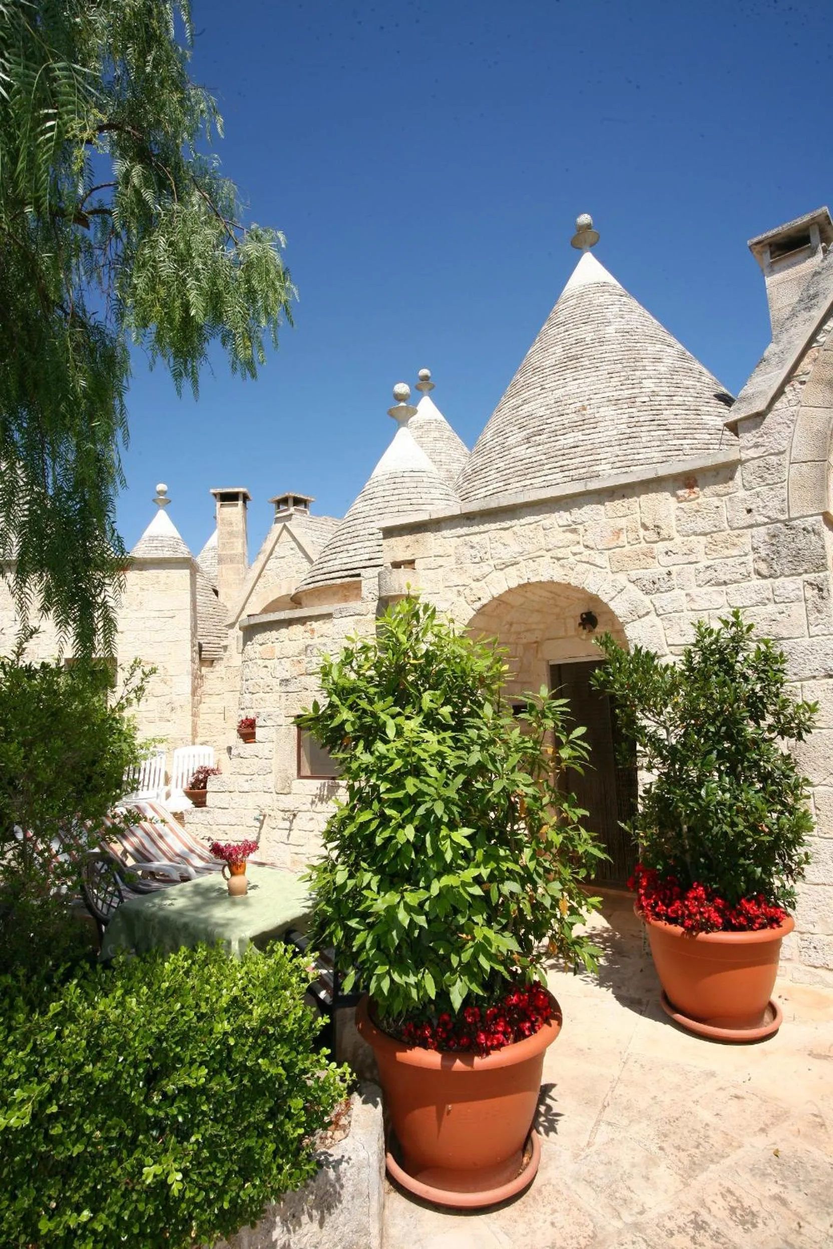 Garden in Truddhi Casa e Cucina di Puglia