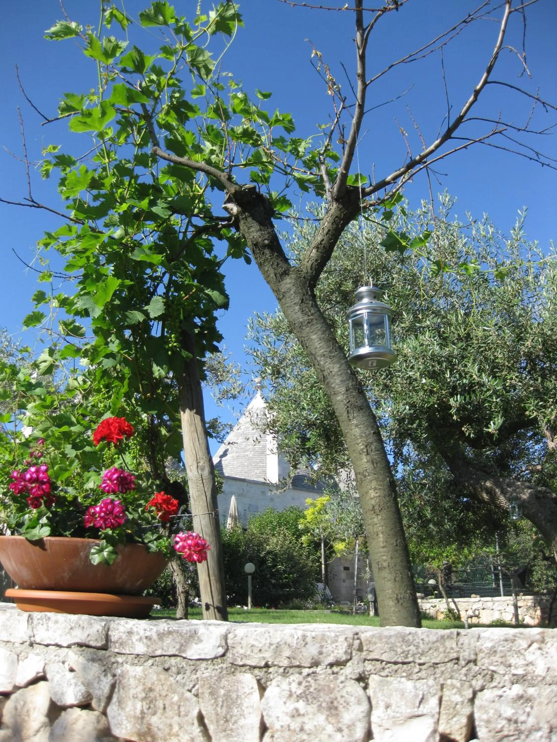 Garden in Truddhi Casa e Cucina di Puglia