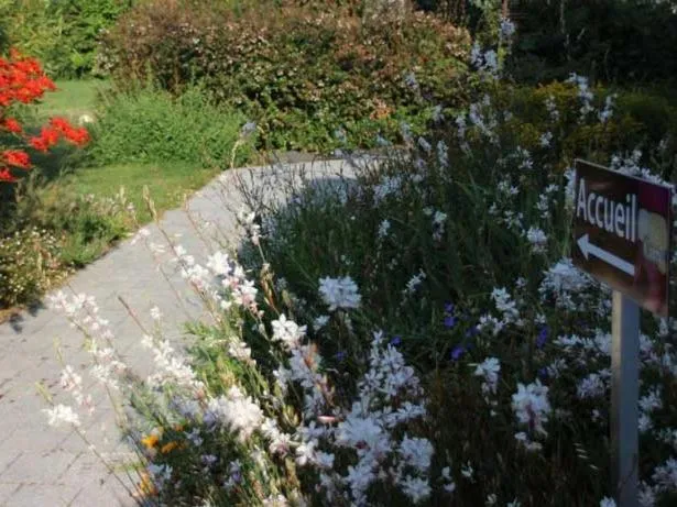 Property building in Au Pré Carré