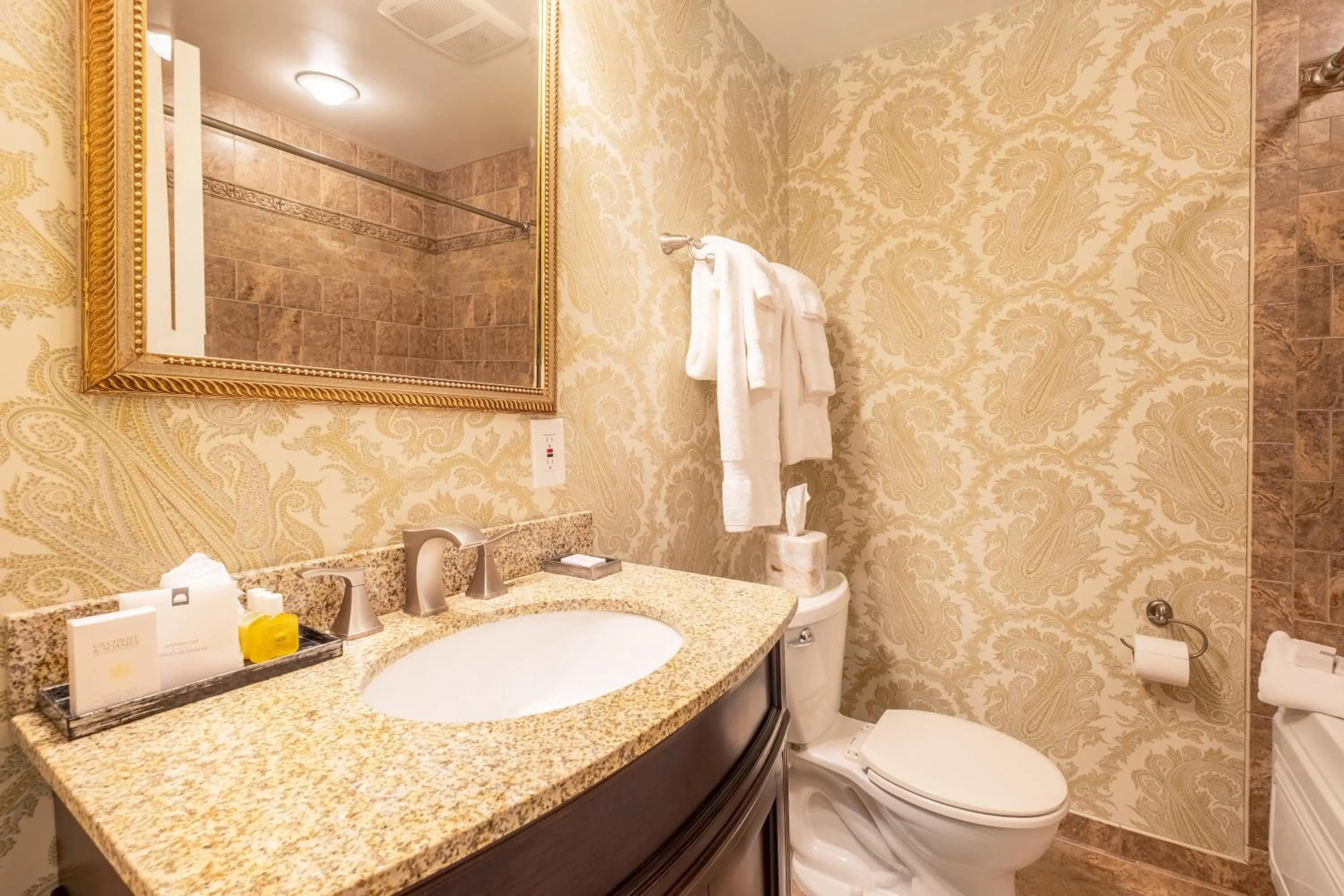 Bathroom in Red Coach Inn