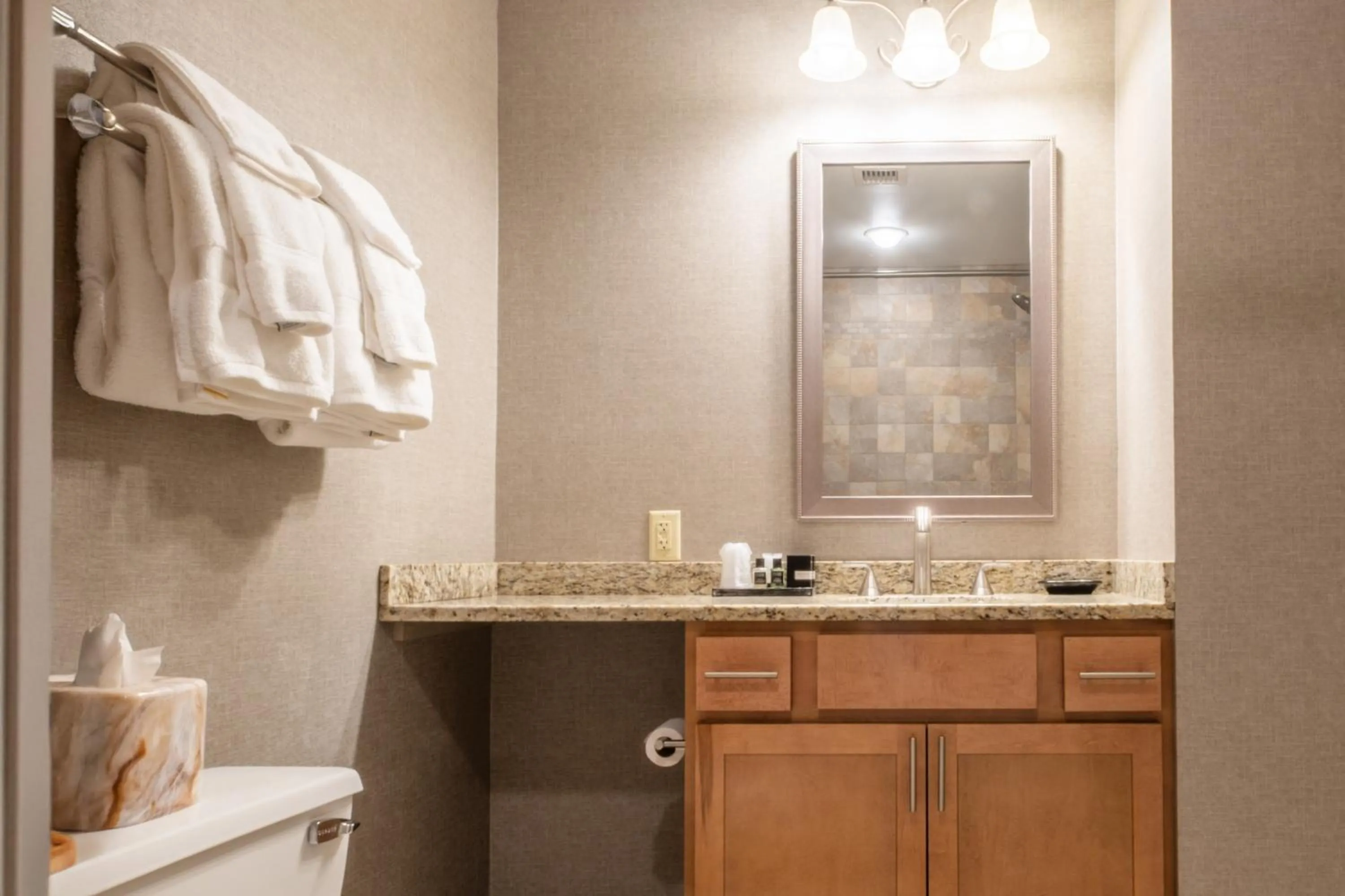 Bathroom in Red Coach Inn