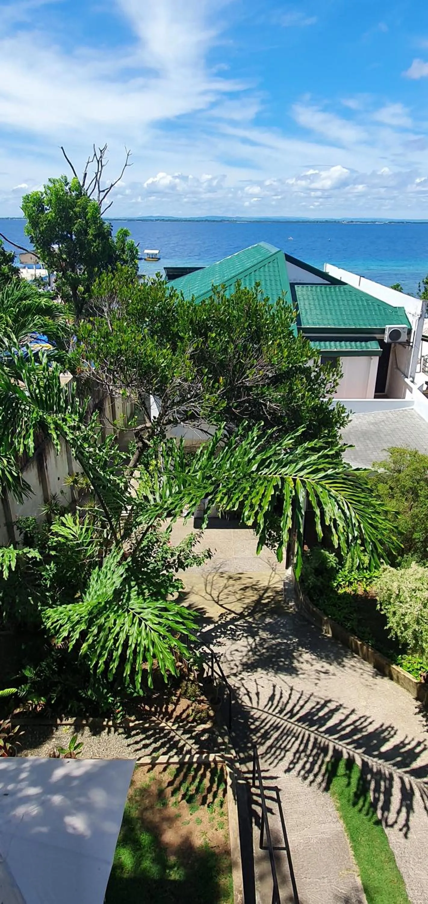 View (from property/room) in Lola's Guest House