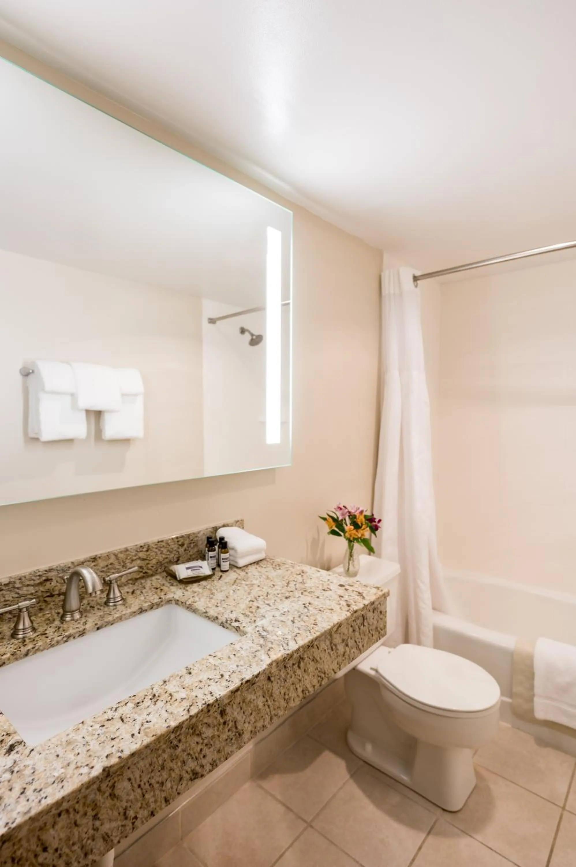 Shower in Hyatt Regency Green Bay