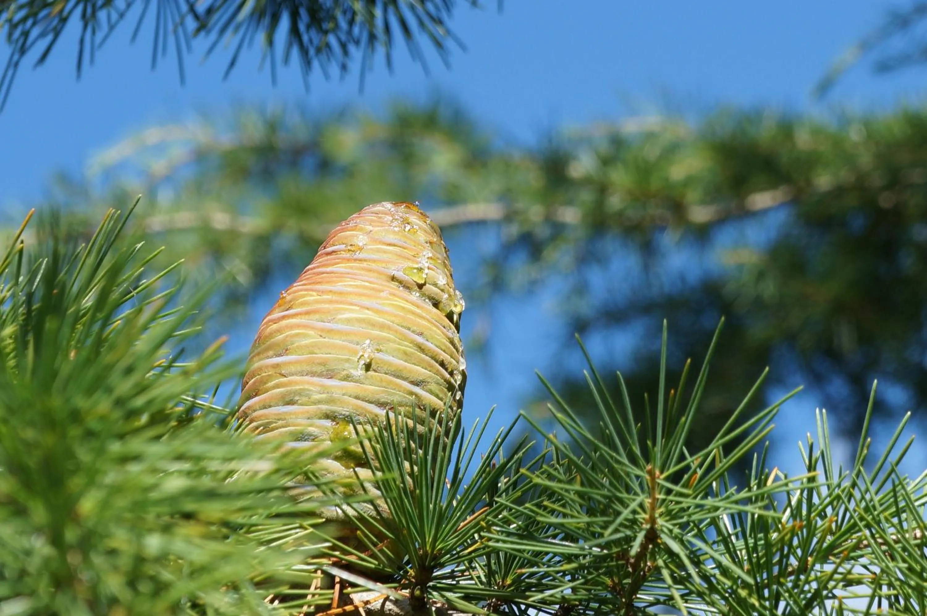 Natural landscape in B&B Les Tranchées