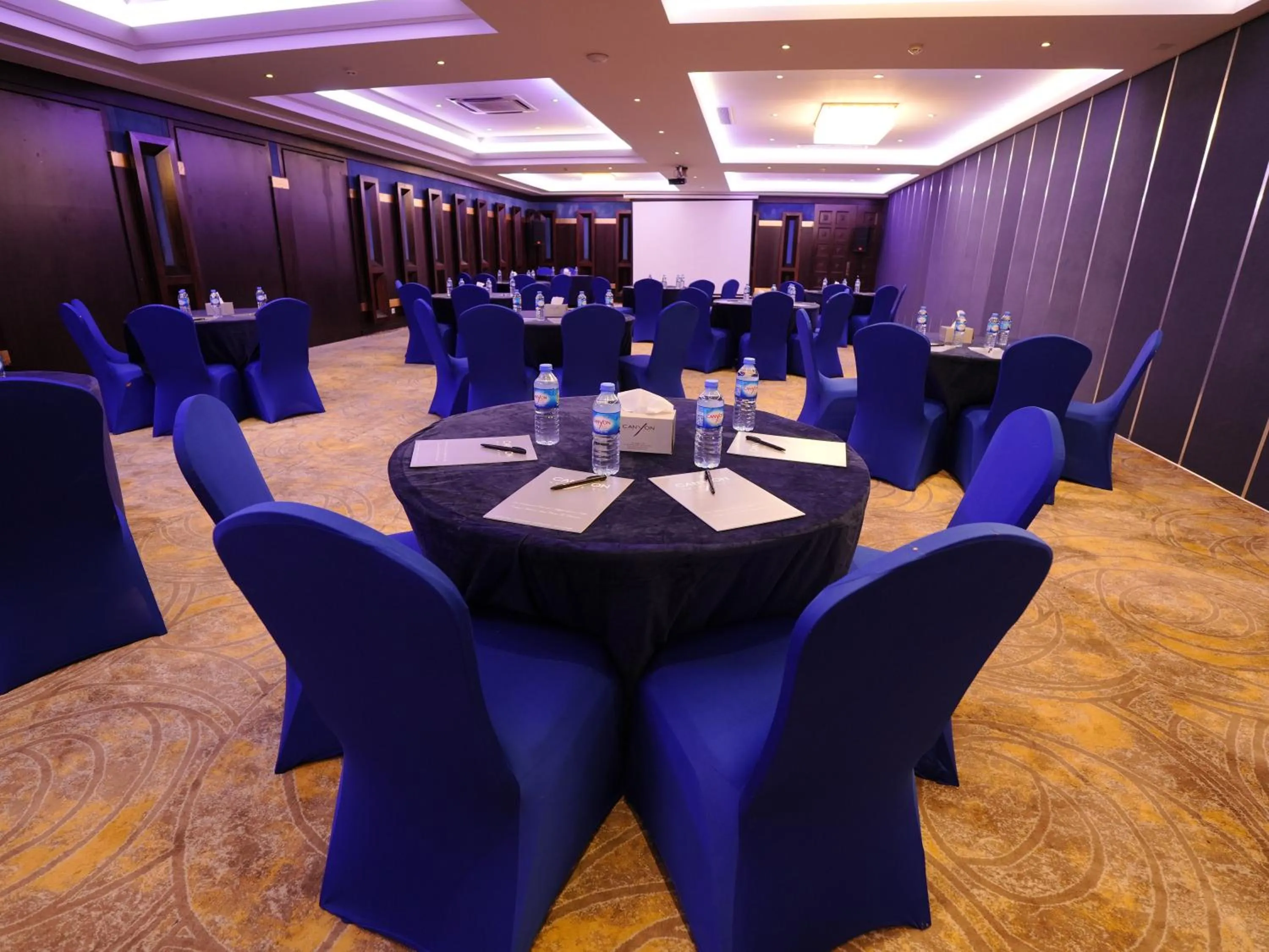 Meeting/conference room in Canyon Hotel Erbil