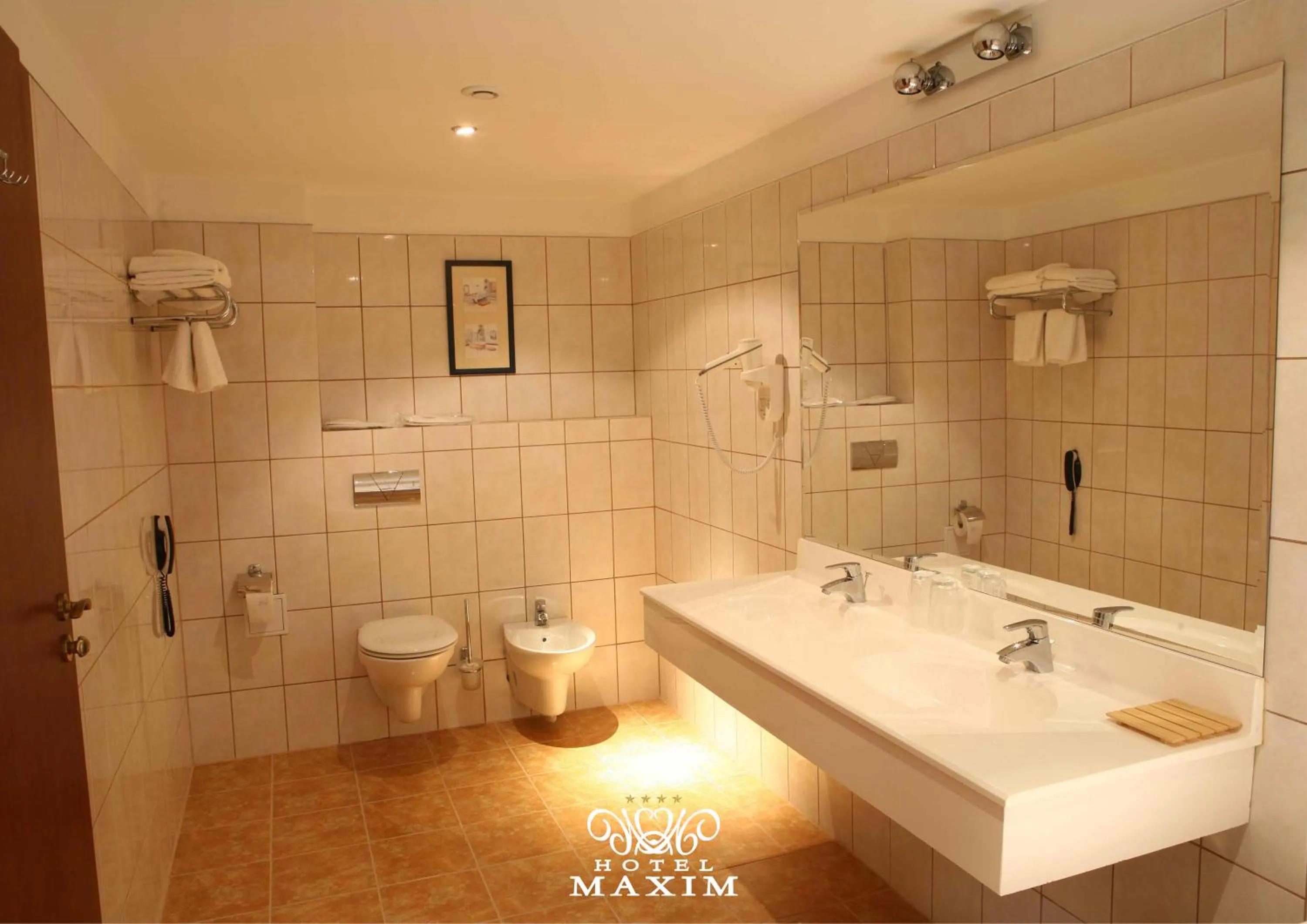 Bathroom in Hotel Maxim