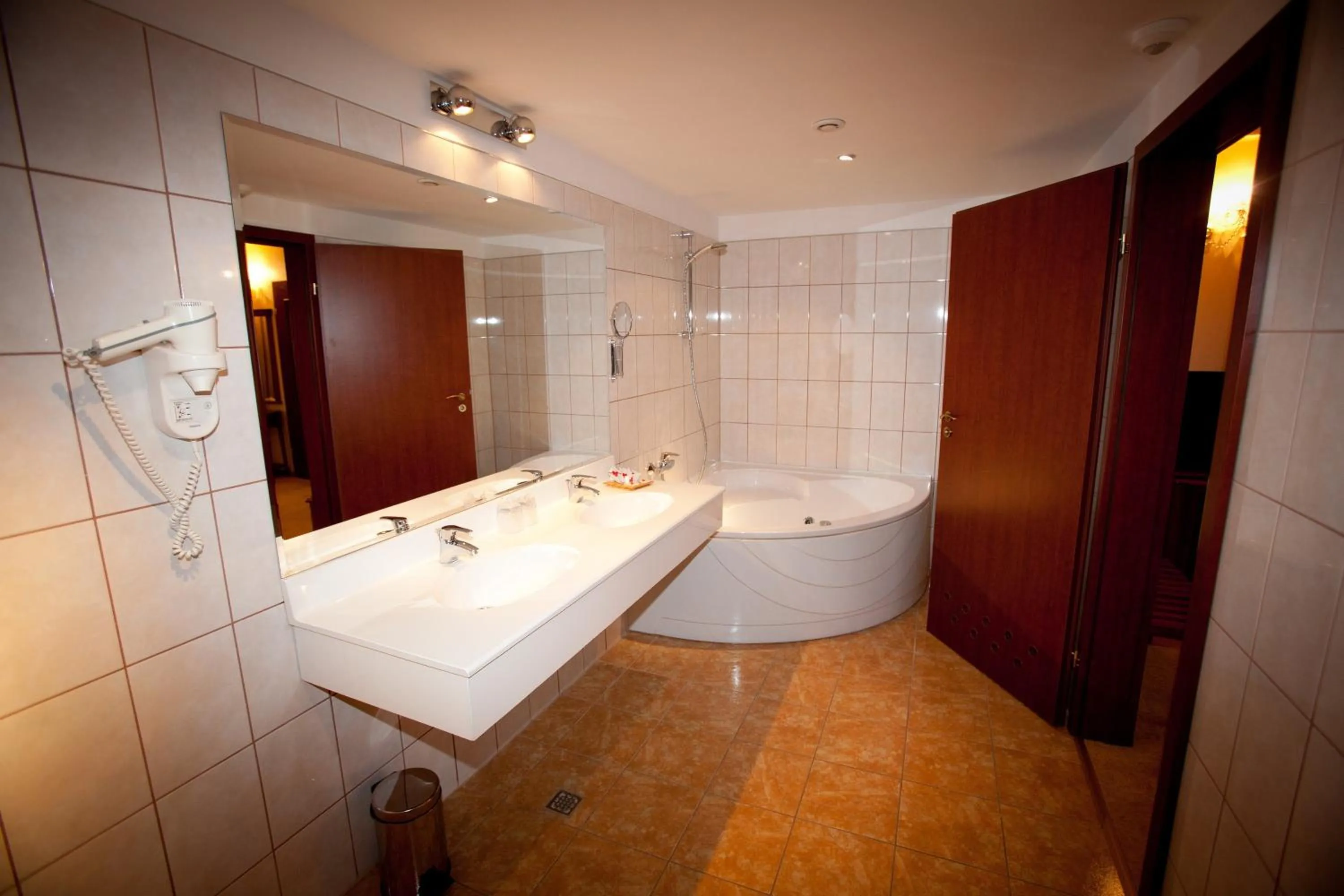 Bathroom in Hotel Maxim