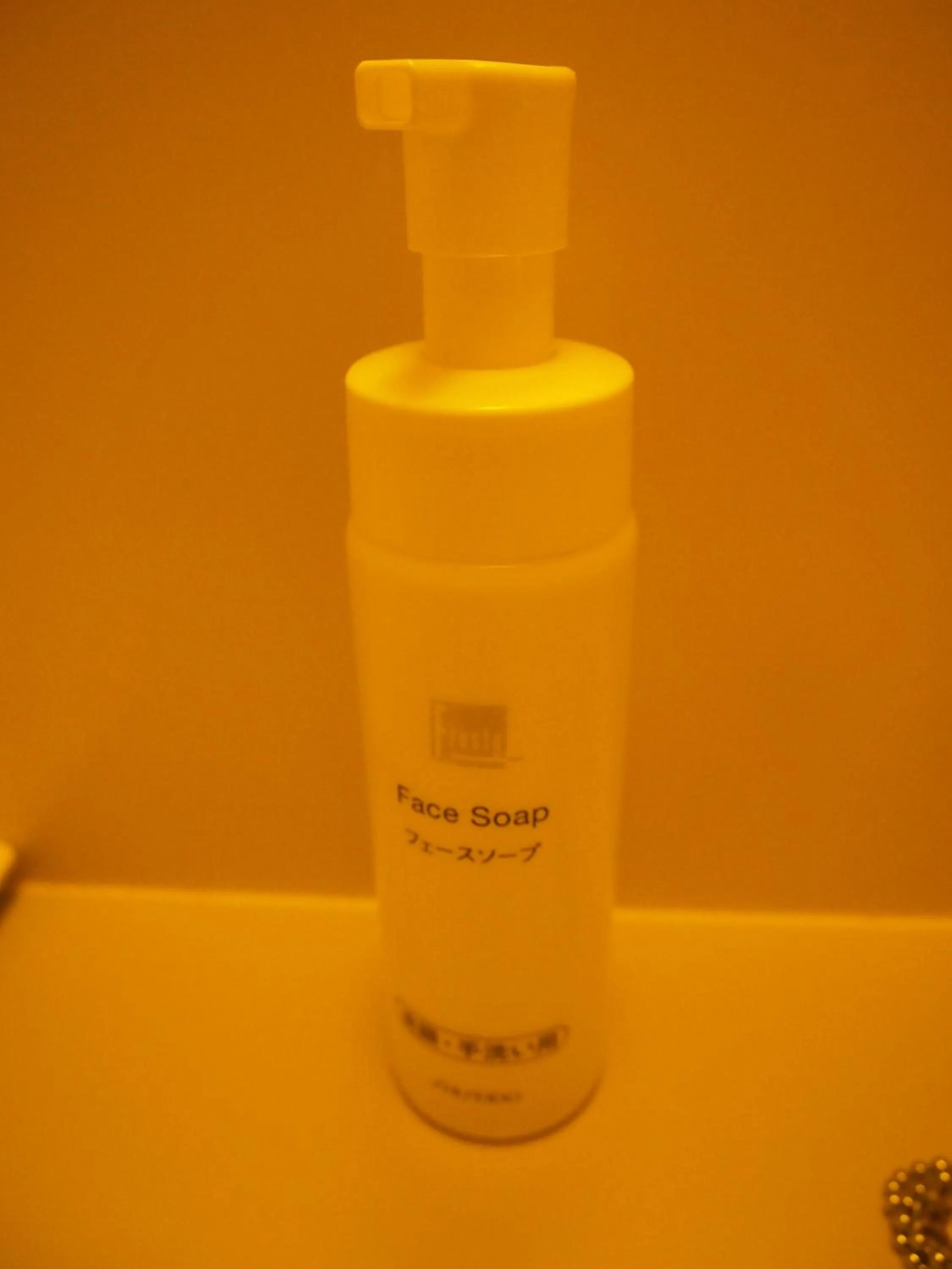 Decorative detail in Yakushima Green Hotel