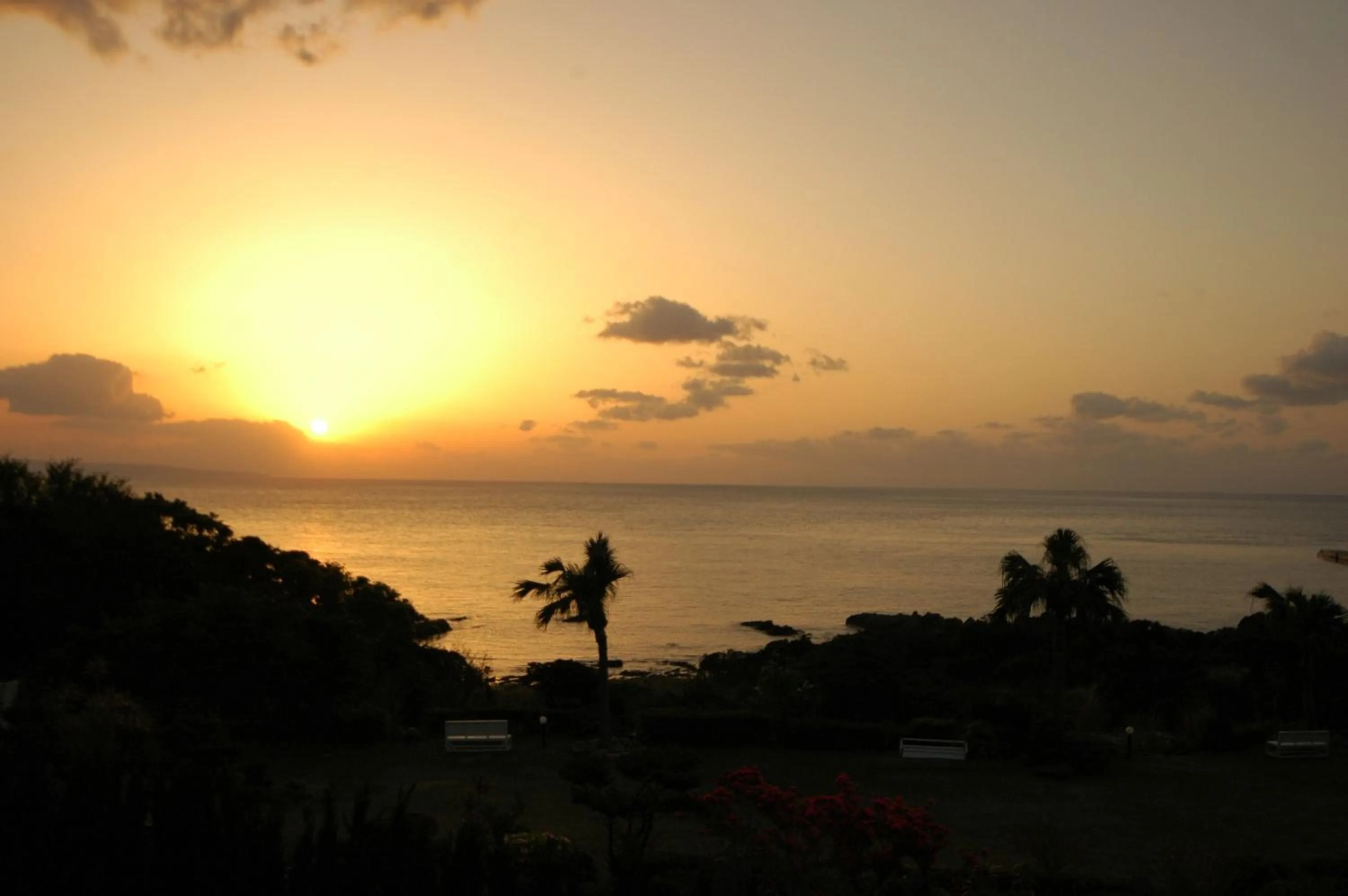 View (from property/room) in Yakushima Green Hotel