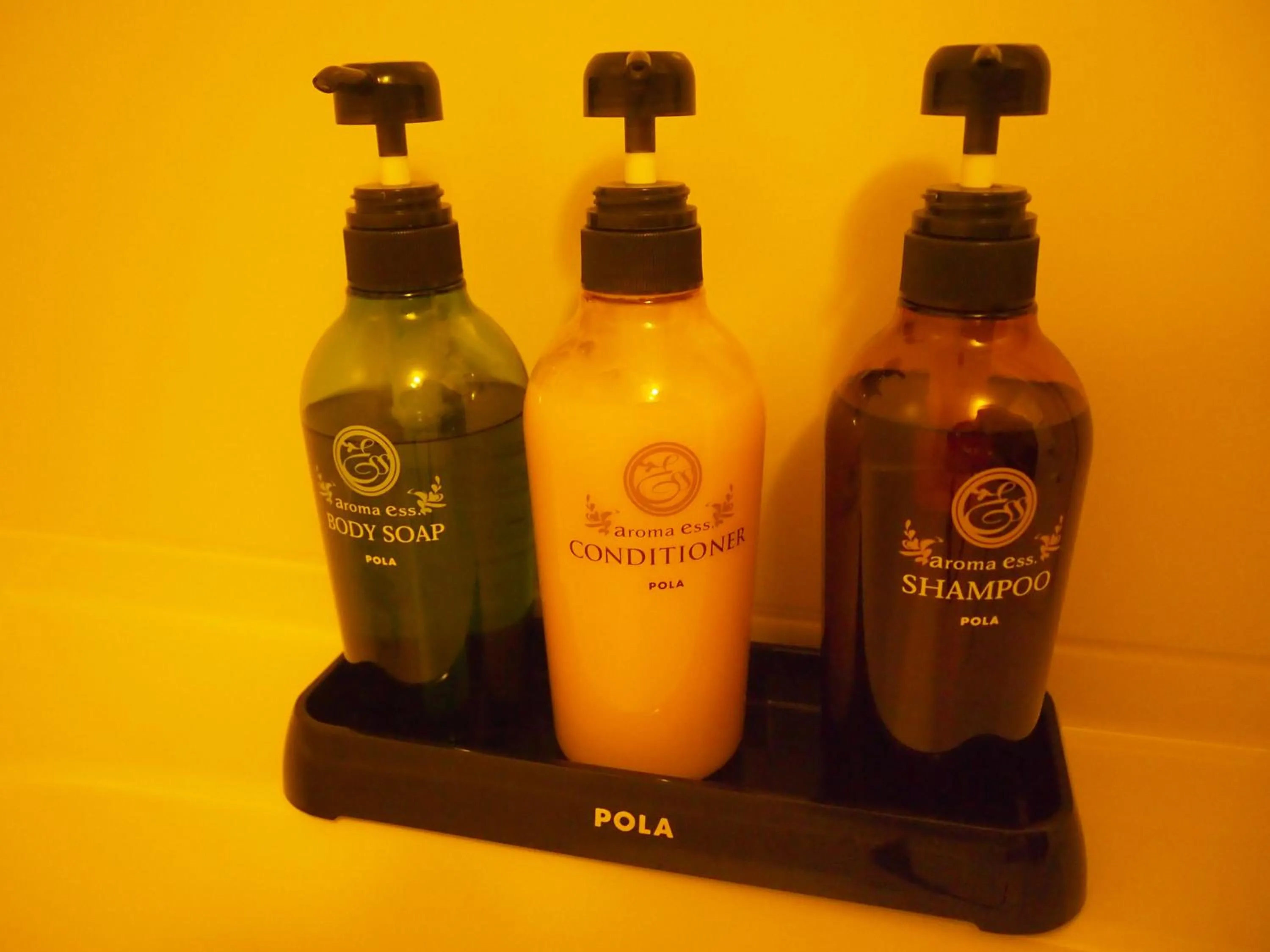 Decorative detail in Yakushima Green Hotel