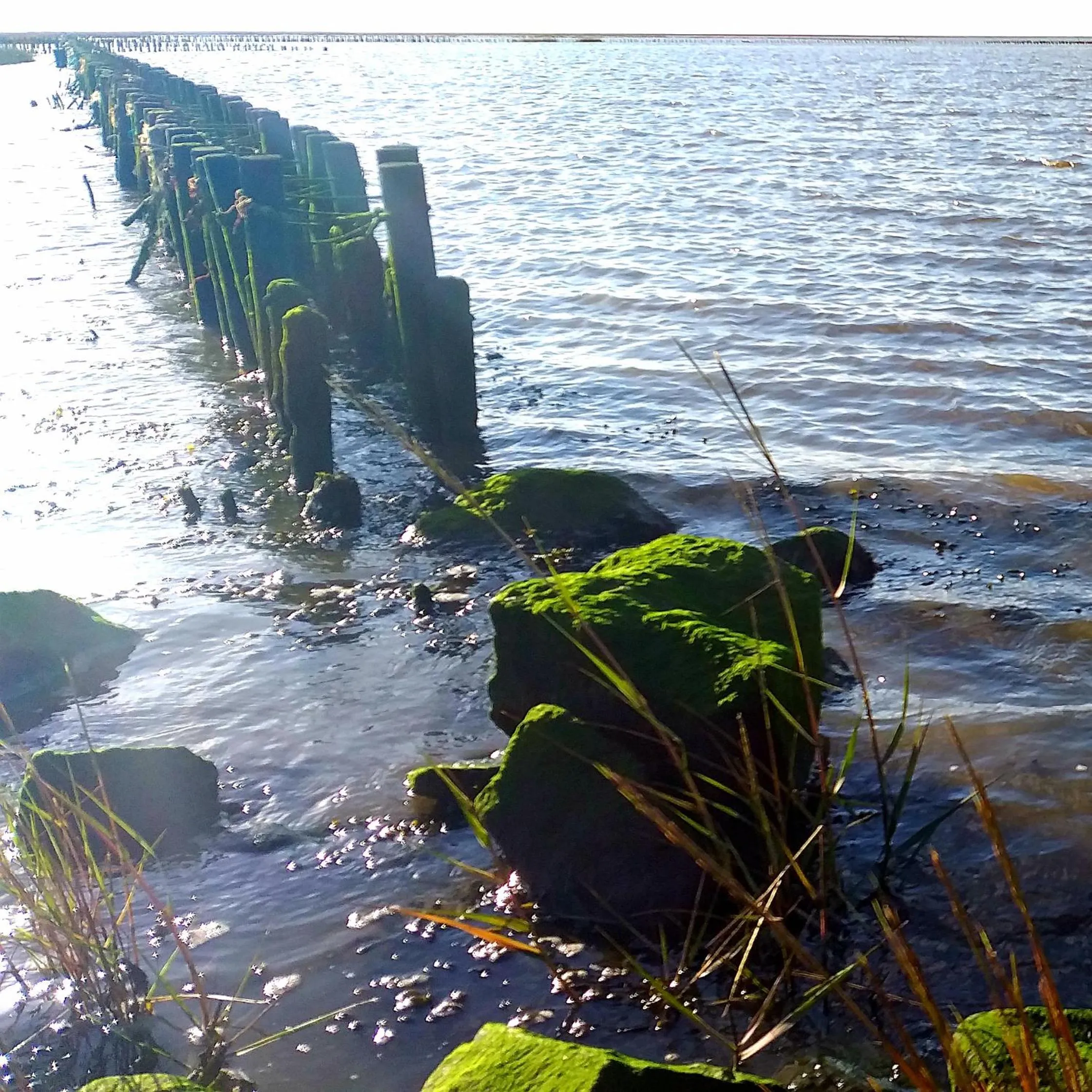 Nearby landmark in Ahoi