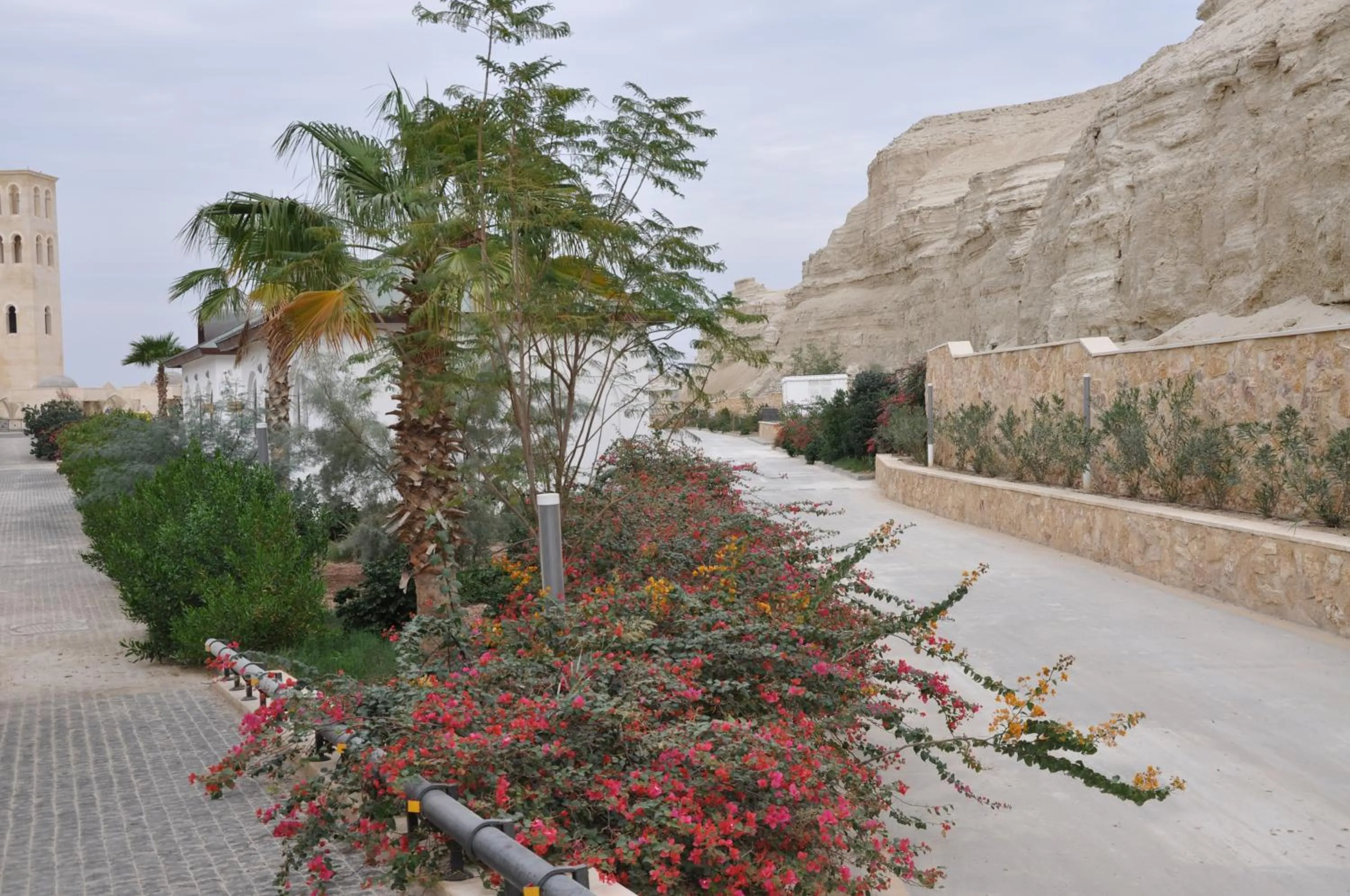 Natural landscape in Russian Pilgrim Residence