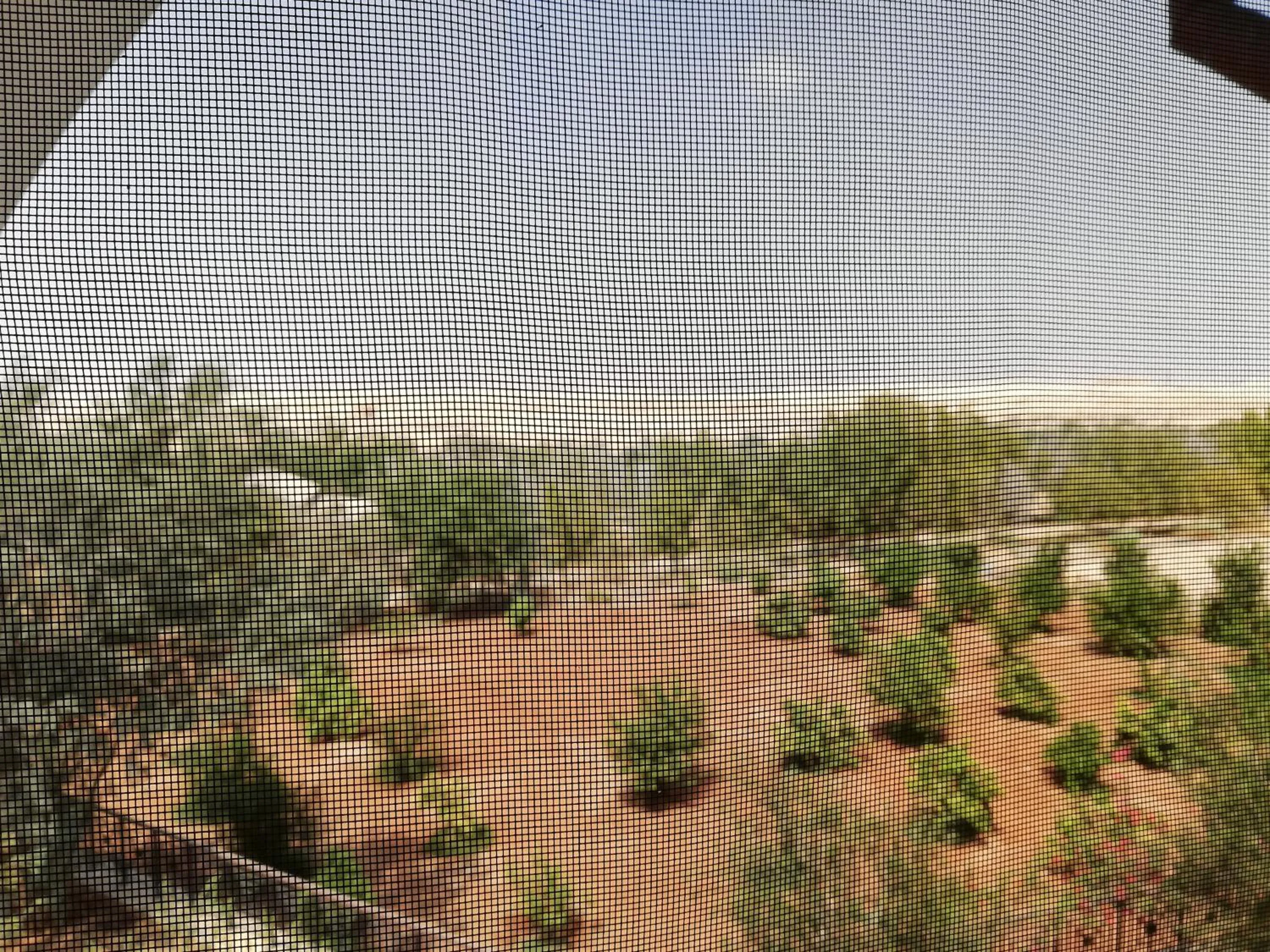 Garden view in Russian Pilgrim Residence