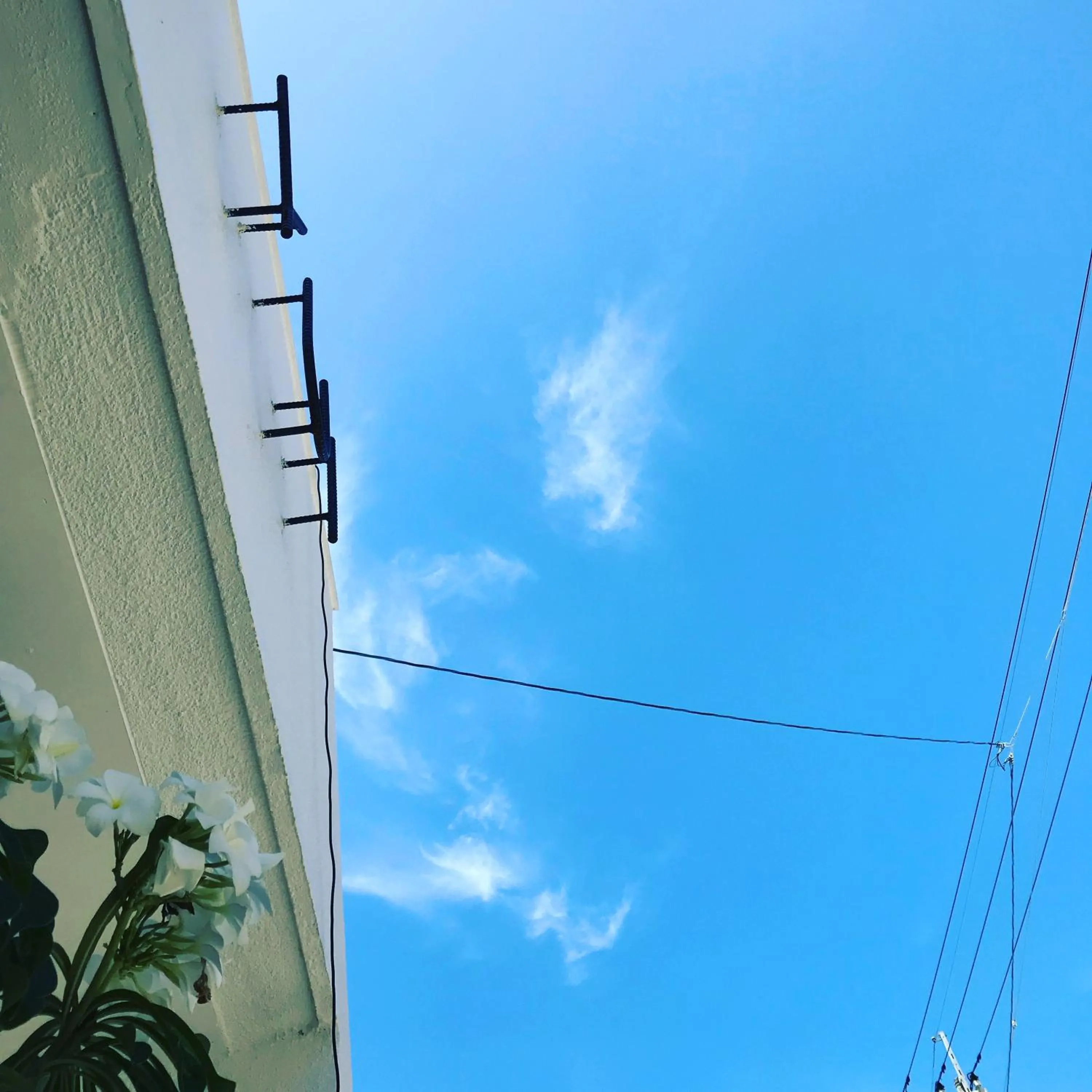 Property building in MEEDAFU'S YUI HOSTEL and COFFEE