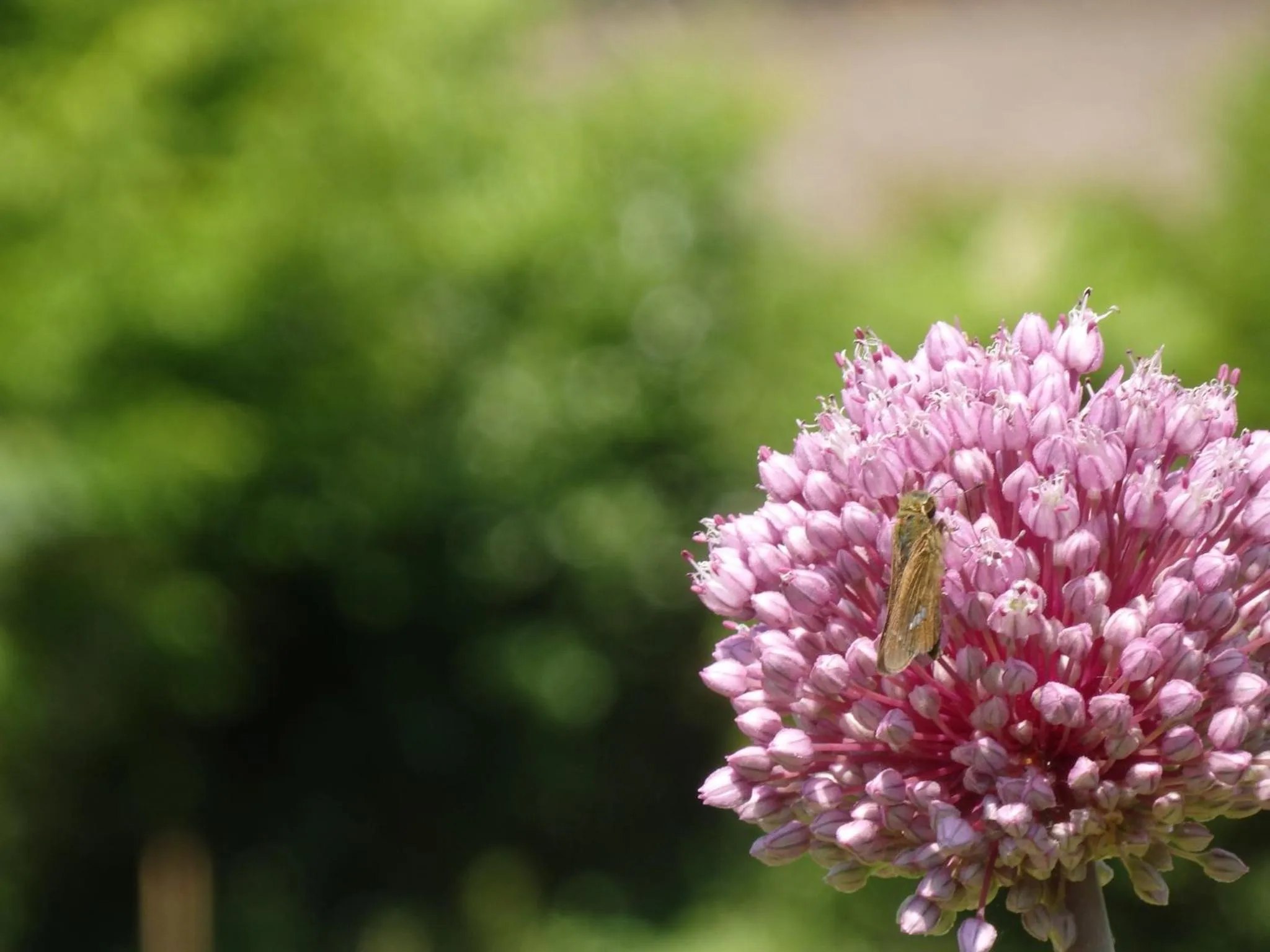 MEEDAFU'S YUI HOSTEL and COFFEE