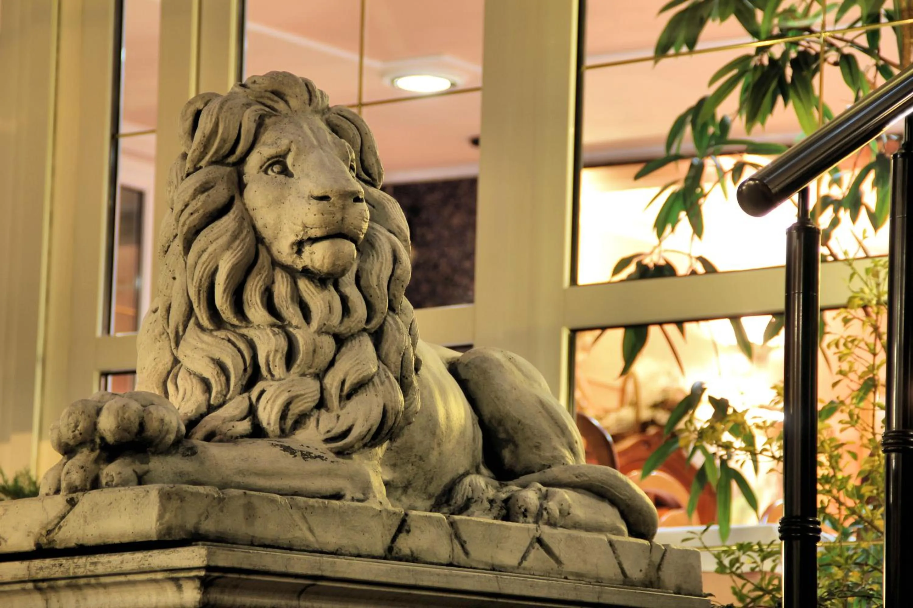 Animals in Hotel Vila Tina