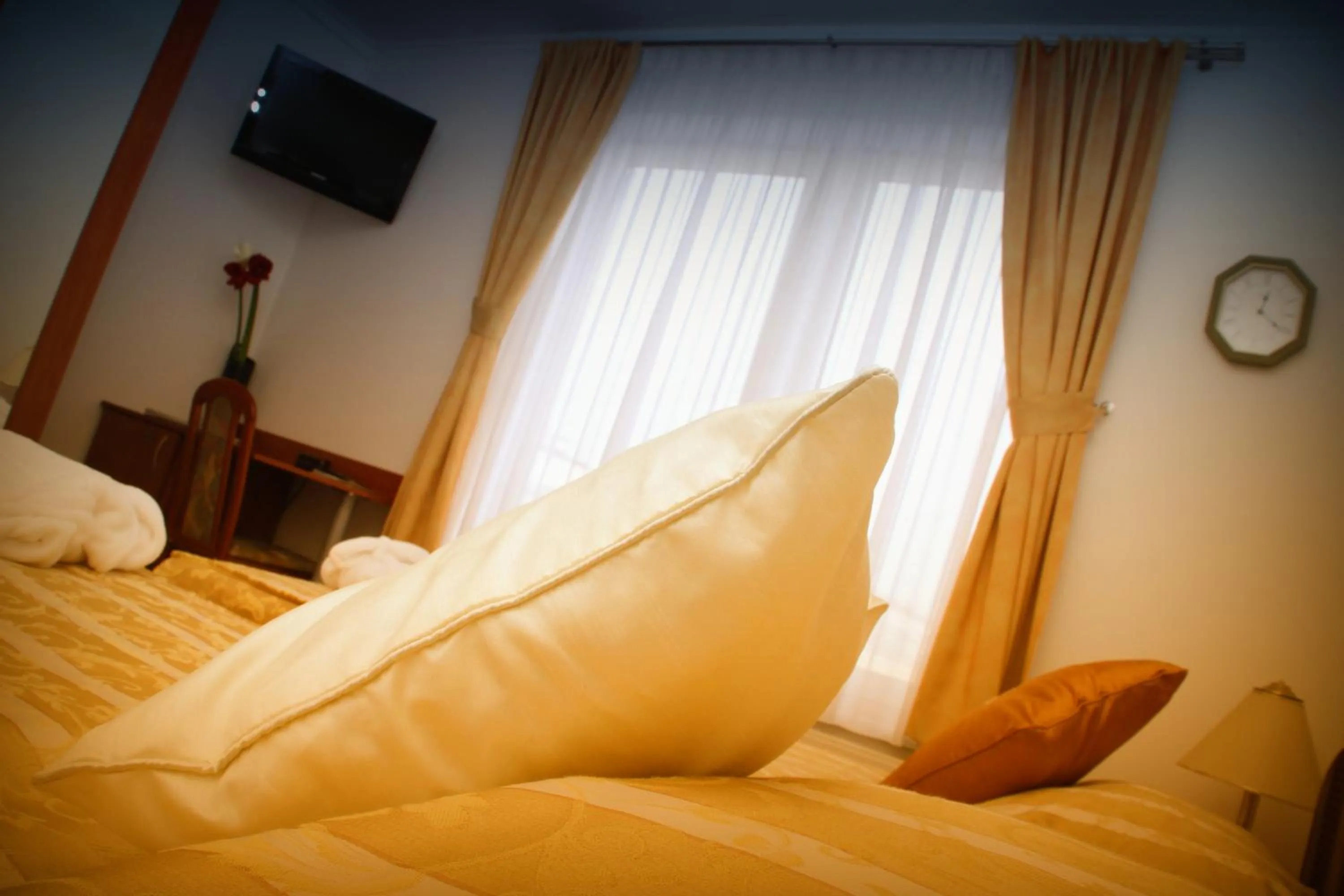 Photo of the whole room, Bed in Hotel Vila Tina