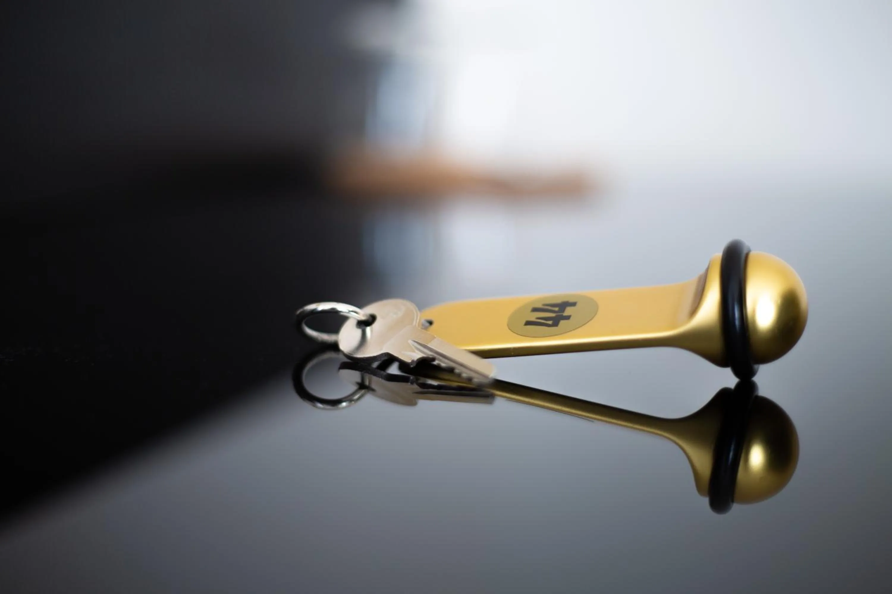 Lobby or reception in Hotel Vila Tina