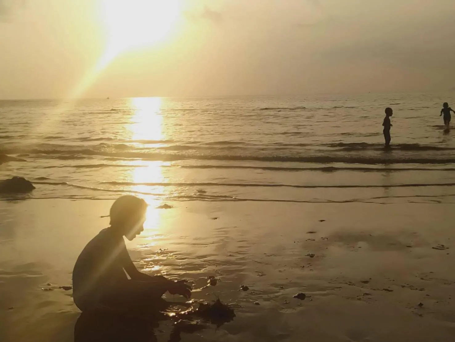 People in Som PalmGarden