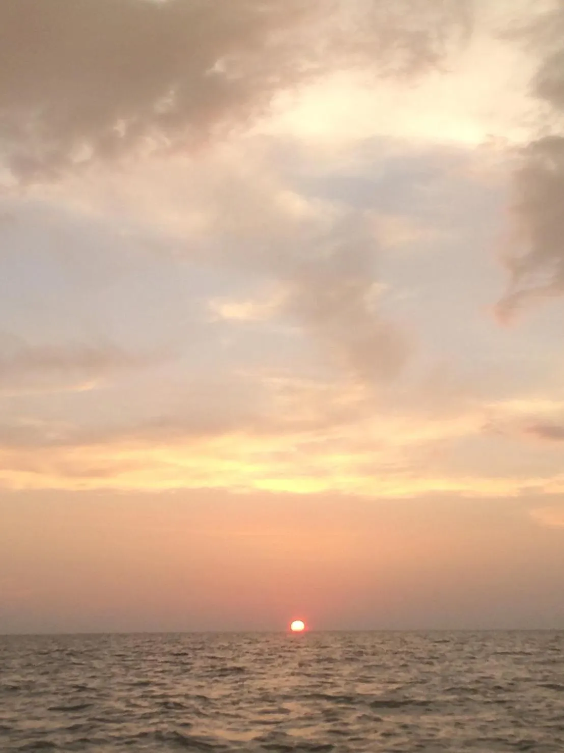 Natural landscape in Som PalmGarden