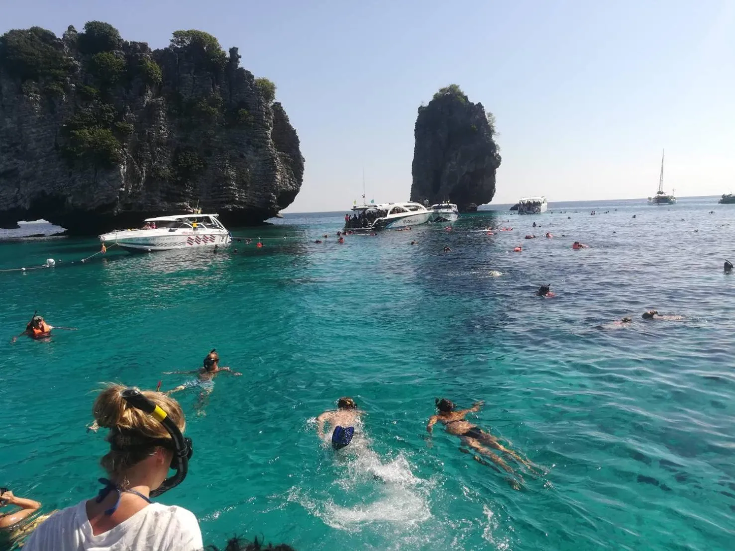 People in Som PalmGarden