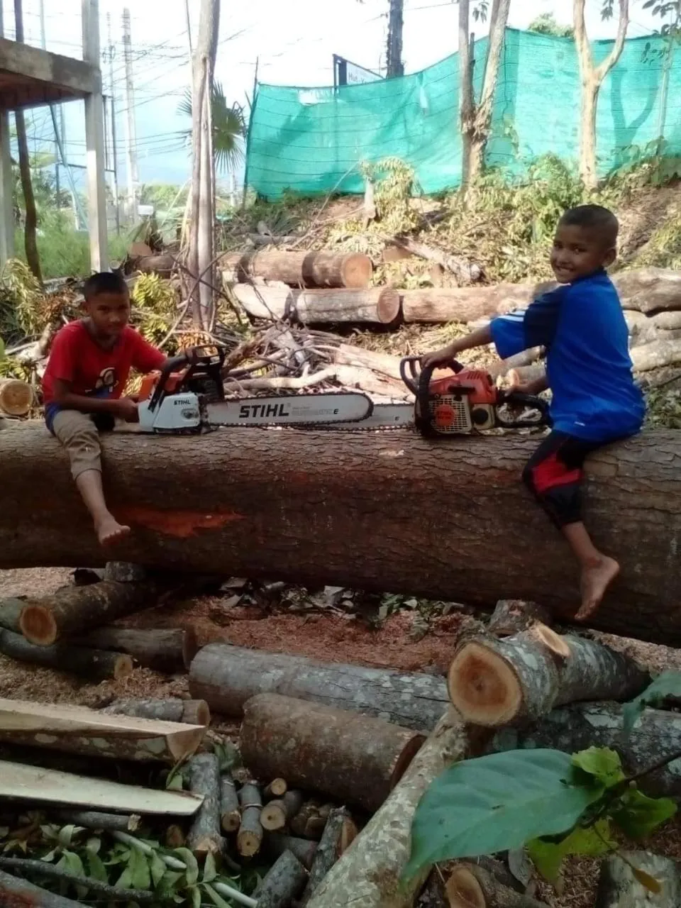 People in Som PalmGarden