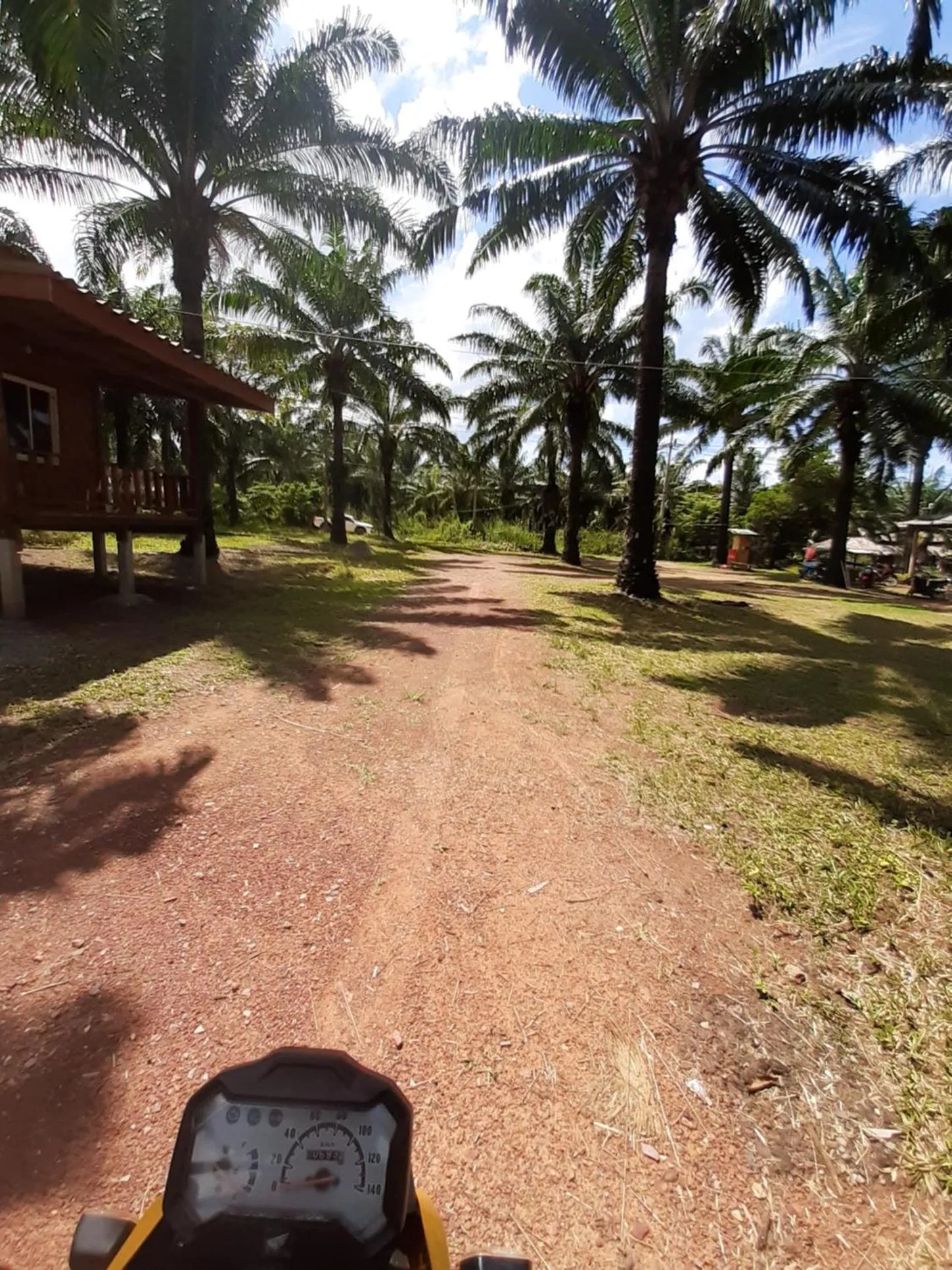 Garden in Som PalmGarden