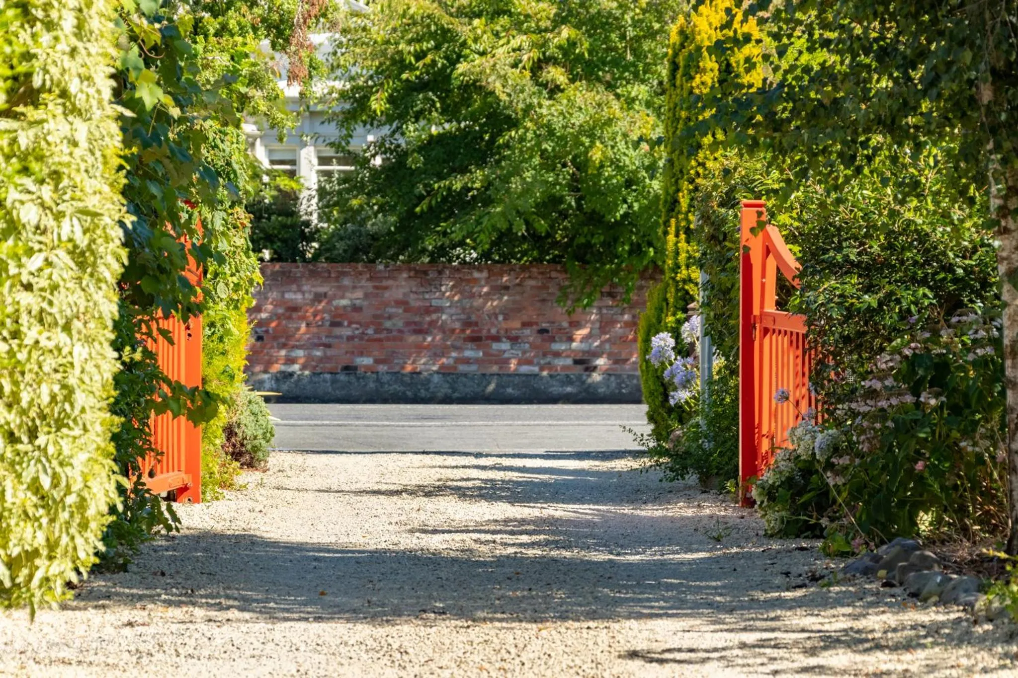 Garden in Shy Cottage and Studio