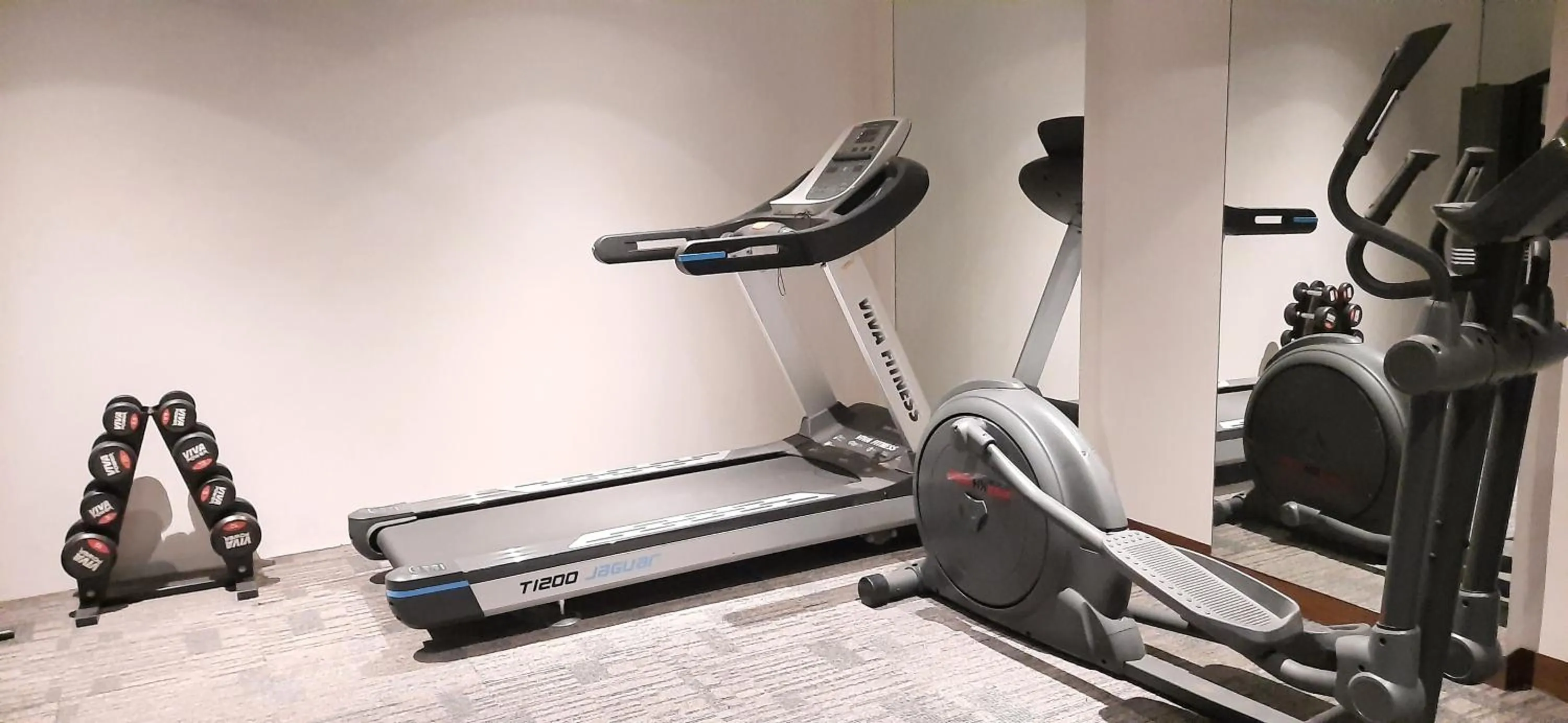 Fitness centre/facilities in Fortune Avenue, Jalandhar - Member ITC Hotels' Group