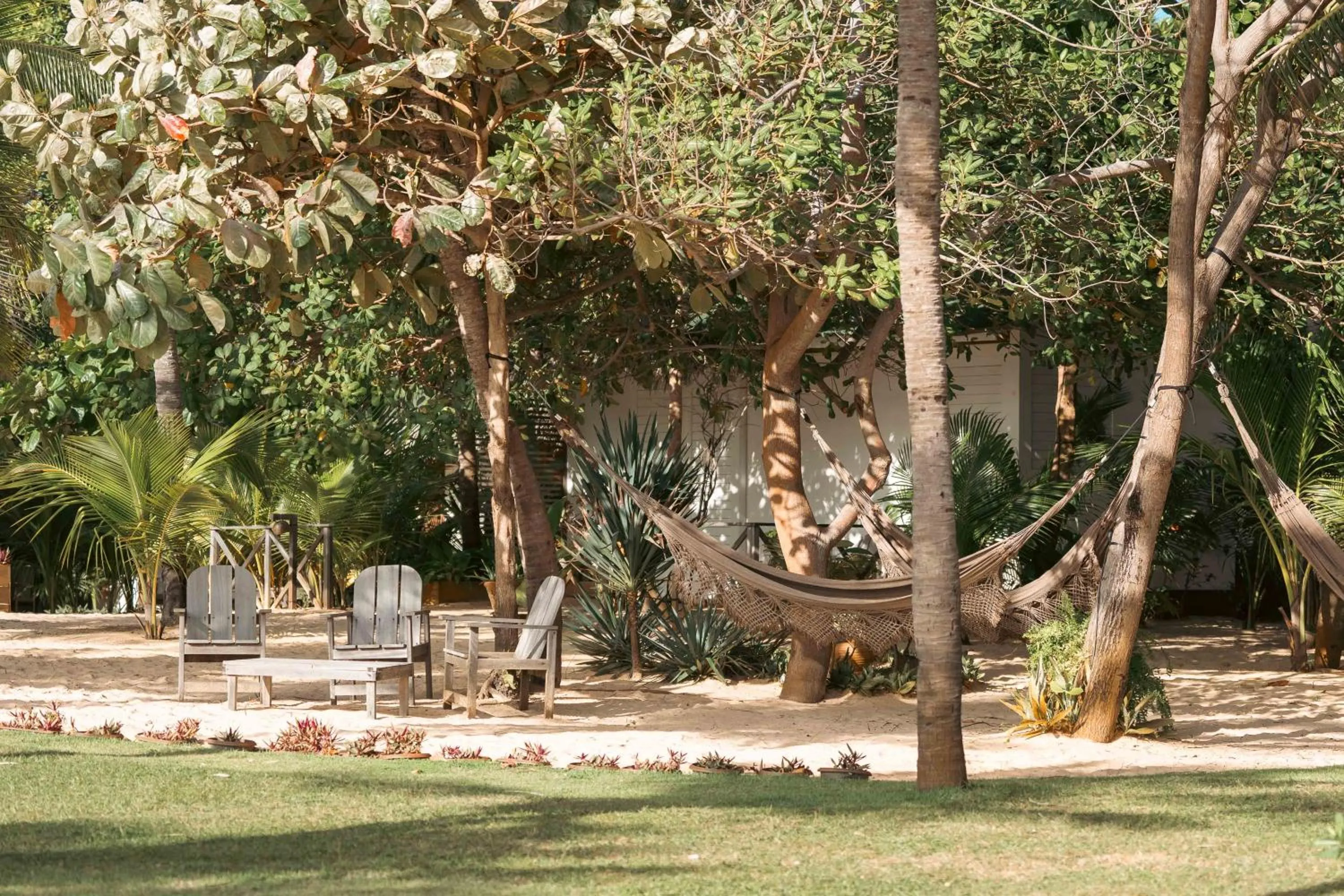 Garden in Muita Paz