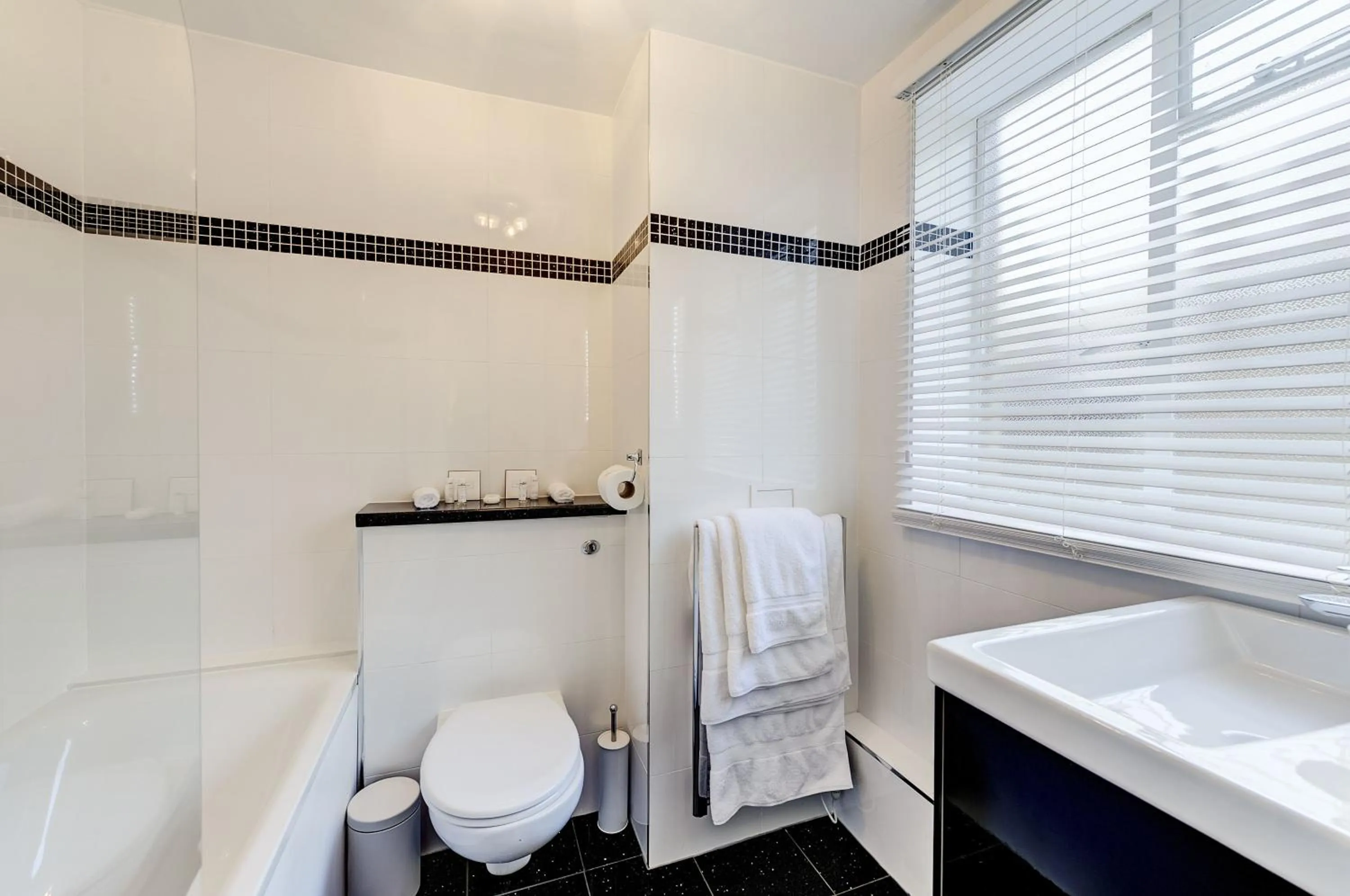 Toilet in Park Lane Apartments/Shaw House