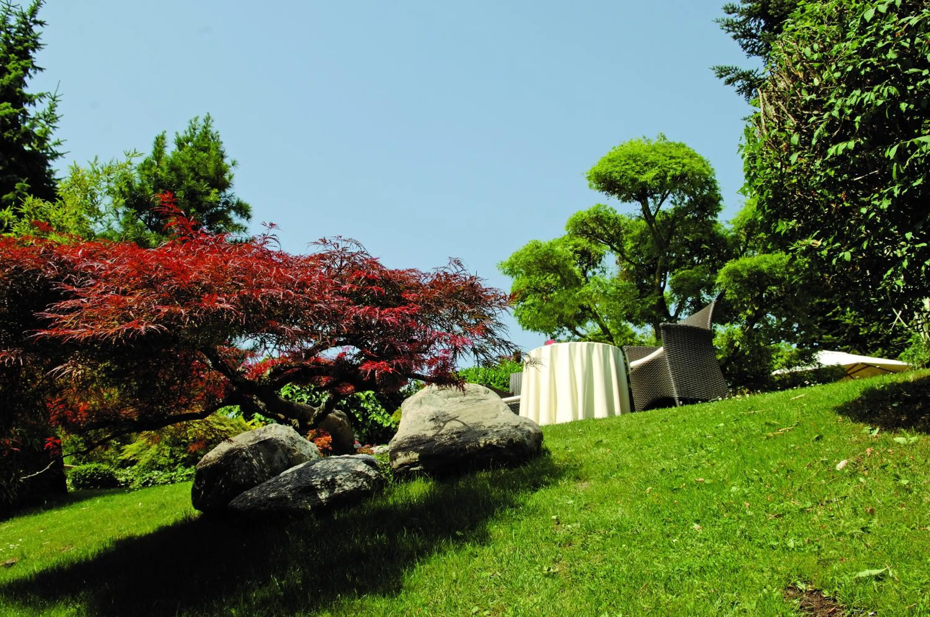 Garden in Hotel Der Löwen