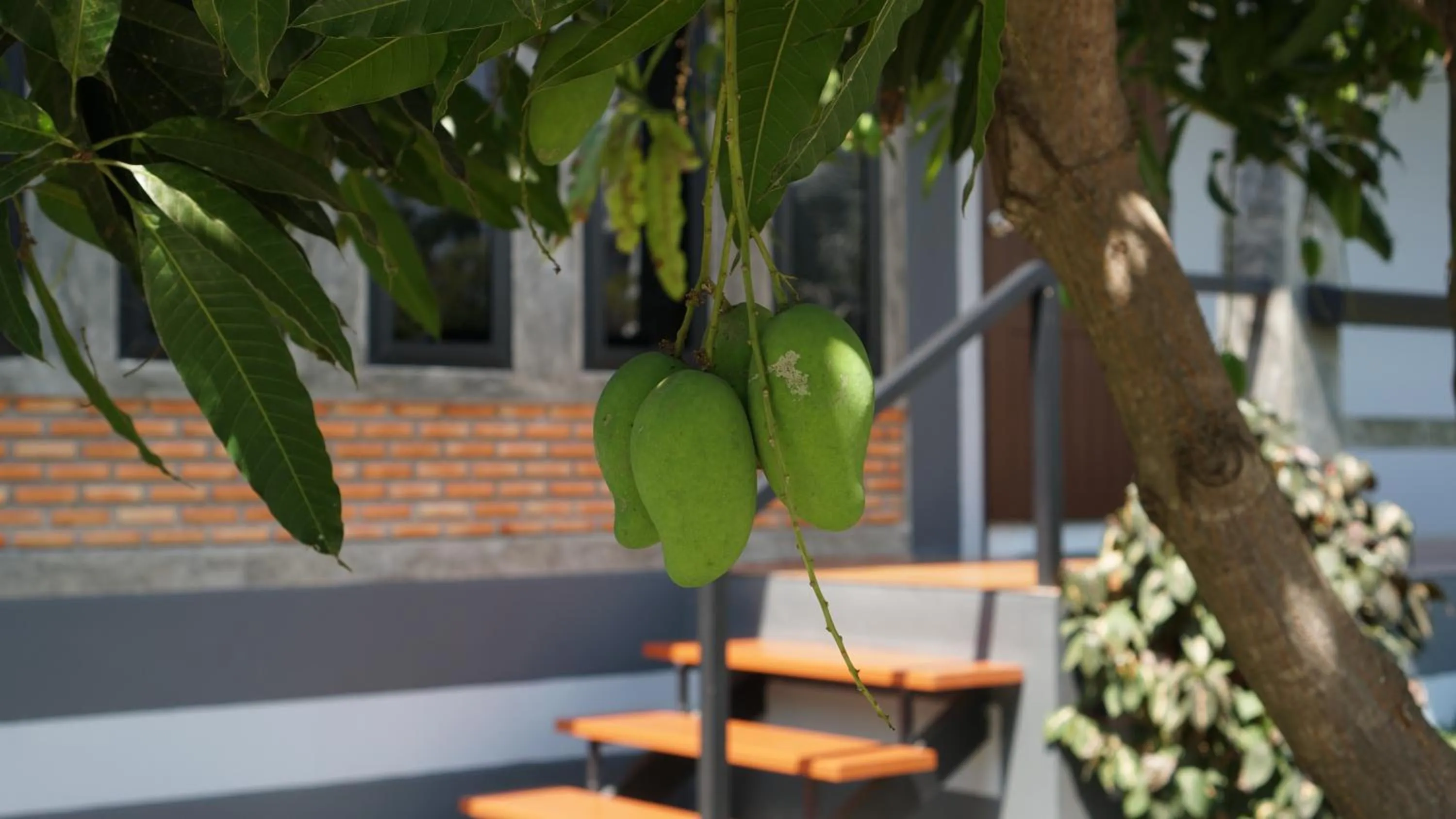 Garden in Midtown Sukhothai