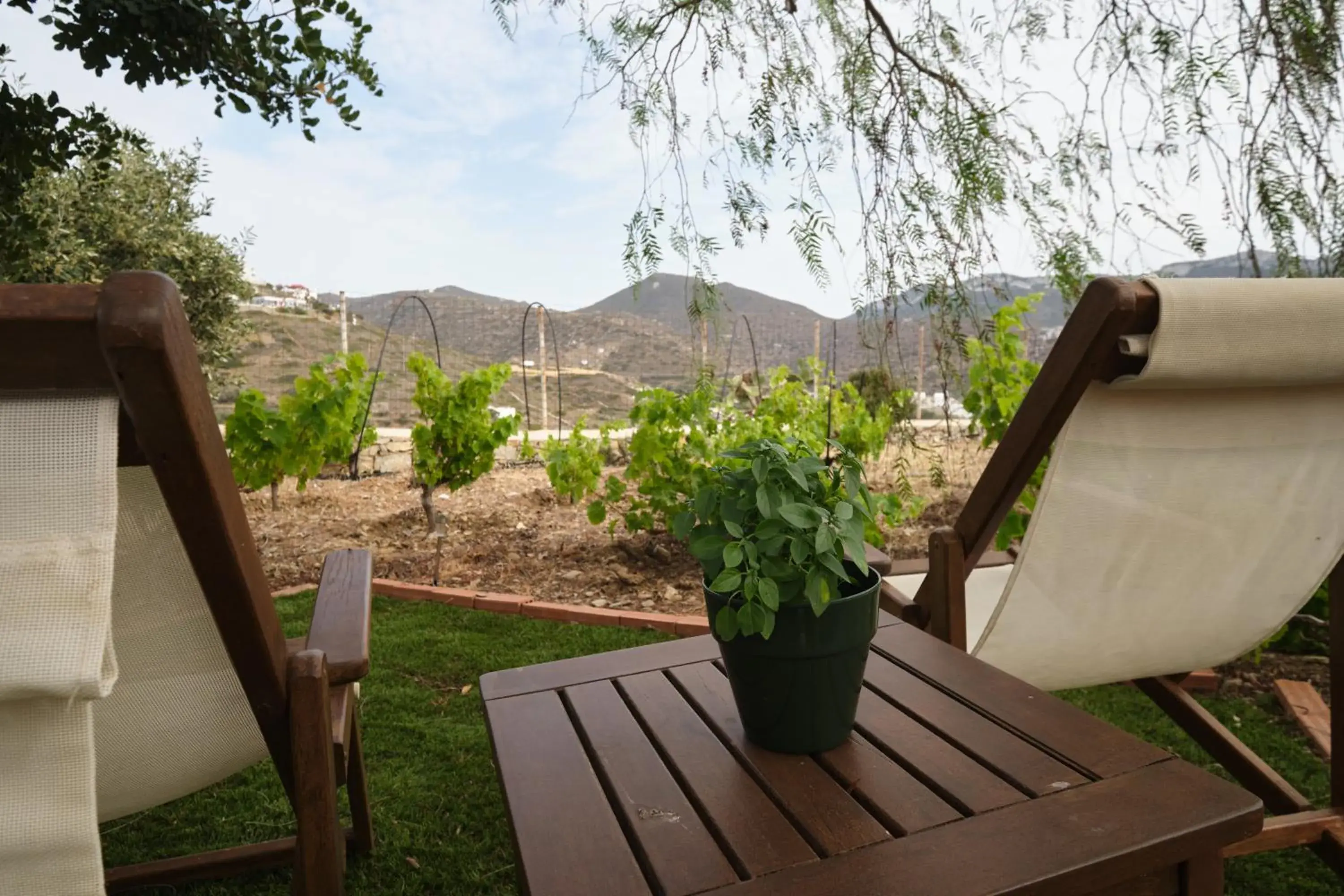 One-Bedroom Apartment (3 Adults) with Garden View in Amorgion Village One-Bedroom Apartment (3 Adults) with Garden View in Amorgion Village