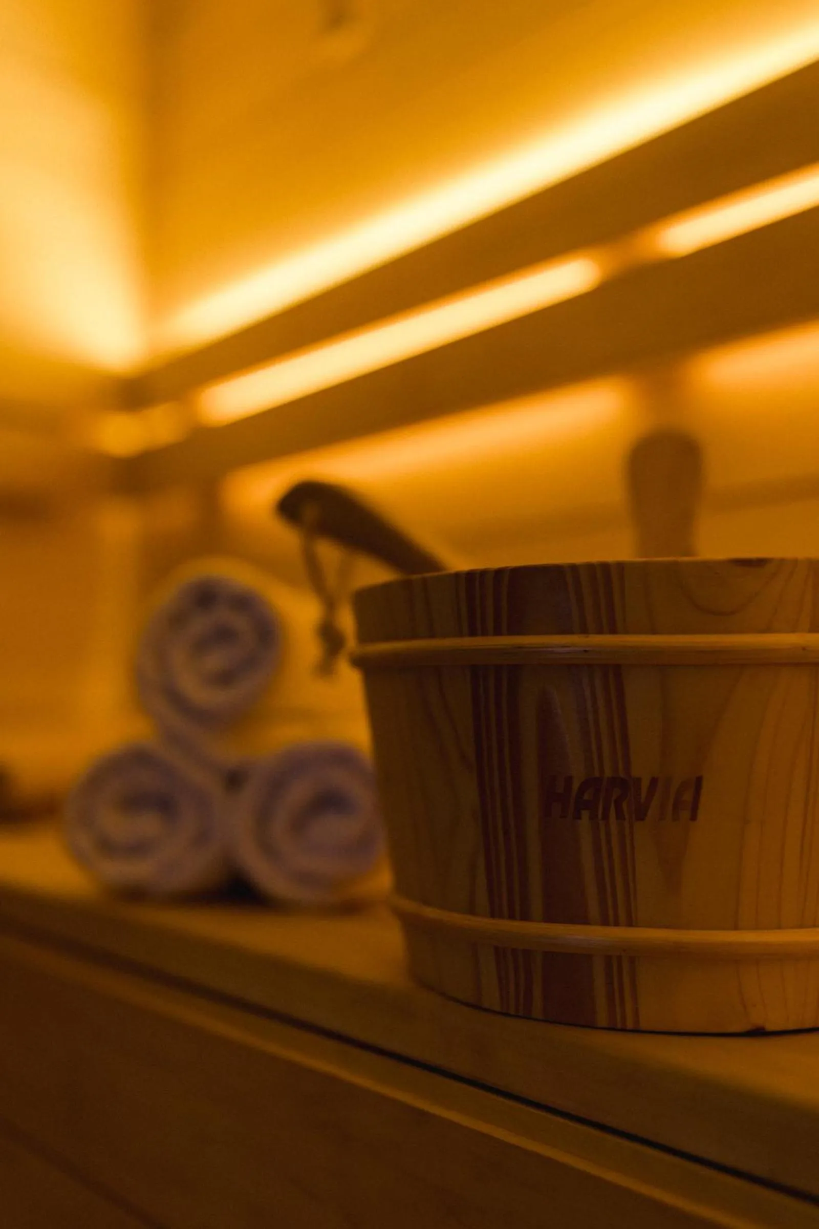 Villa Monica Apartamenty