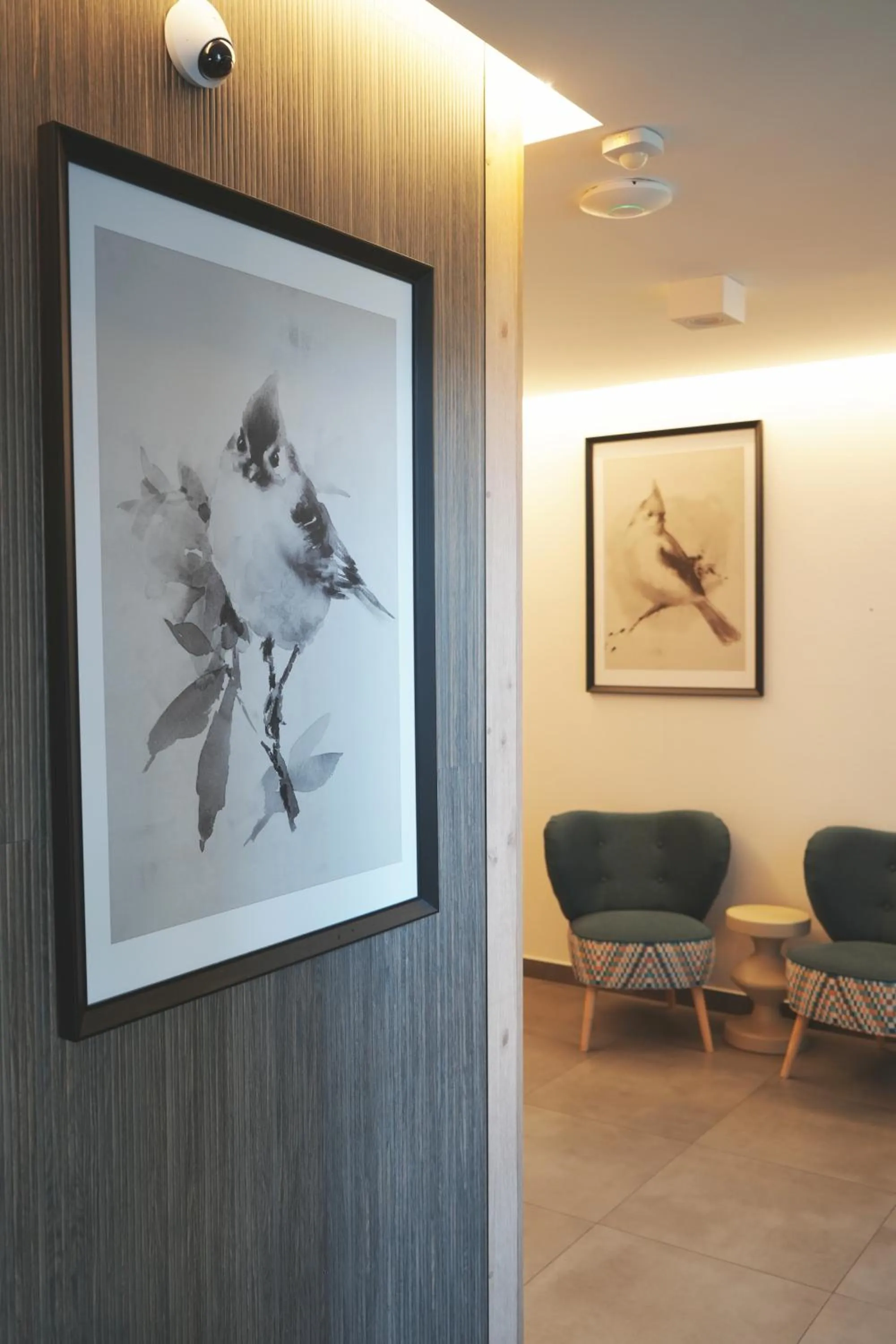 Villa Monica Apartamenty